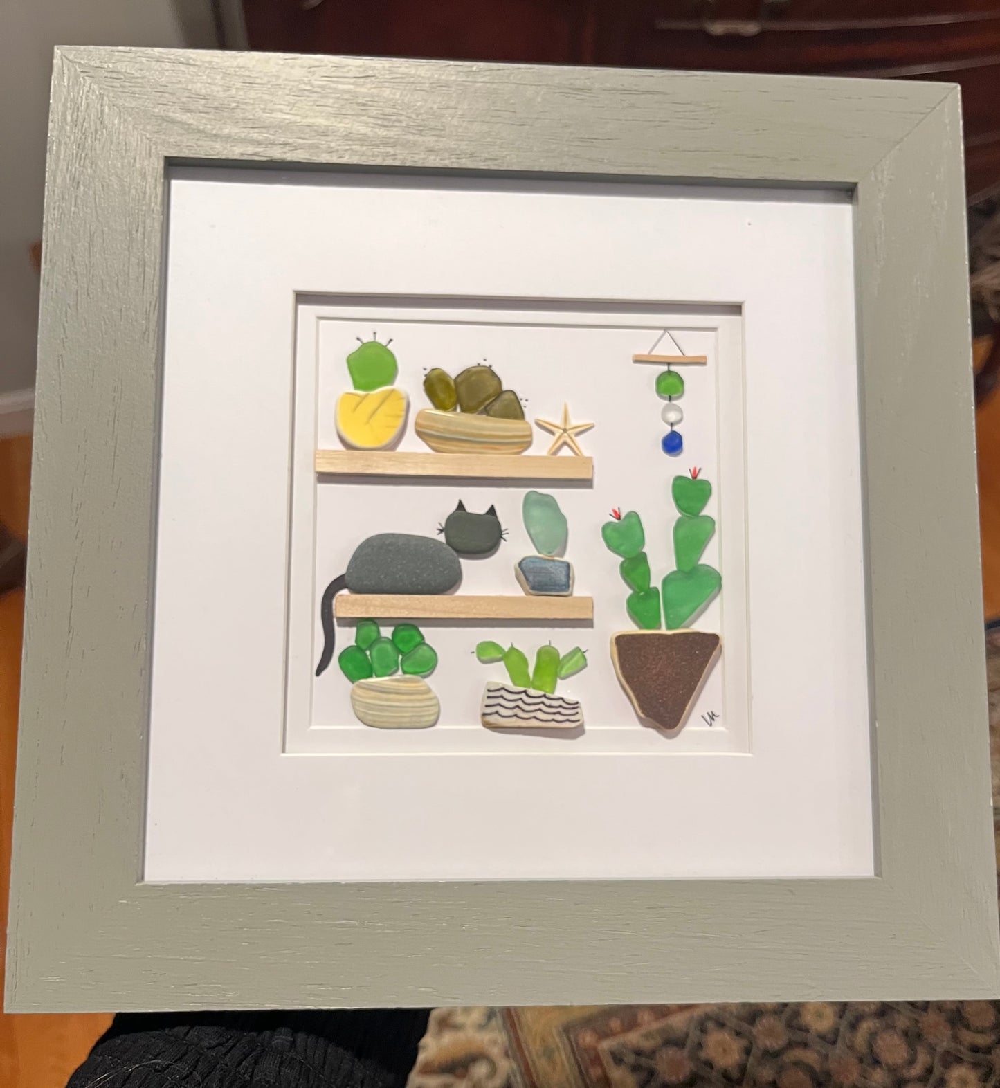 Plants & Cacti & Cat