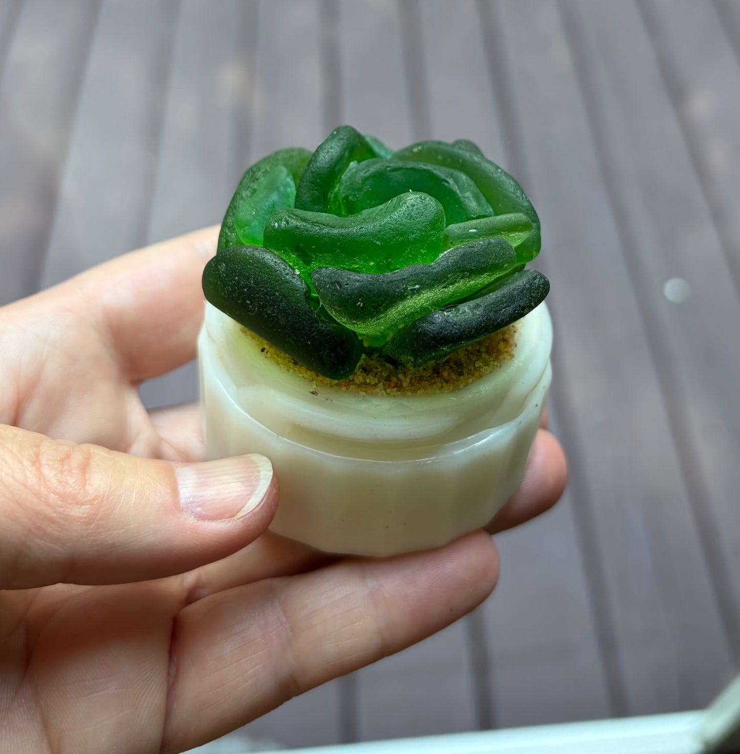 Sea Glass Succulent - Green (209)