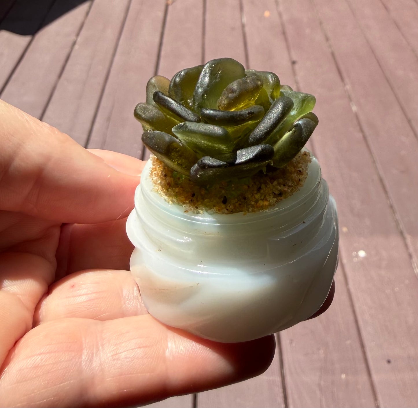 Sea Glass Succulent - Olive Green (213)