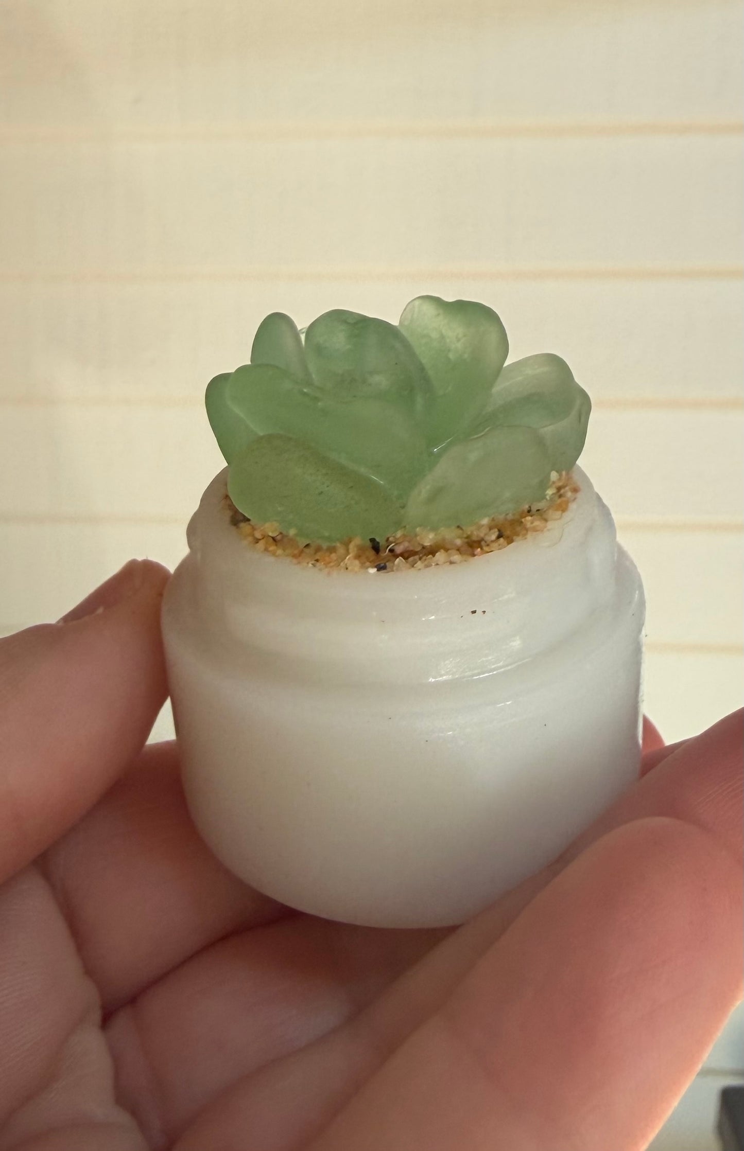 Sea Glass Succulent - Sea Foam (214)