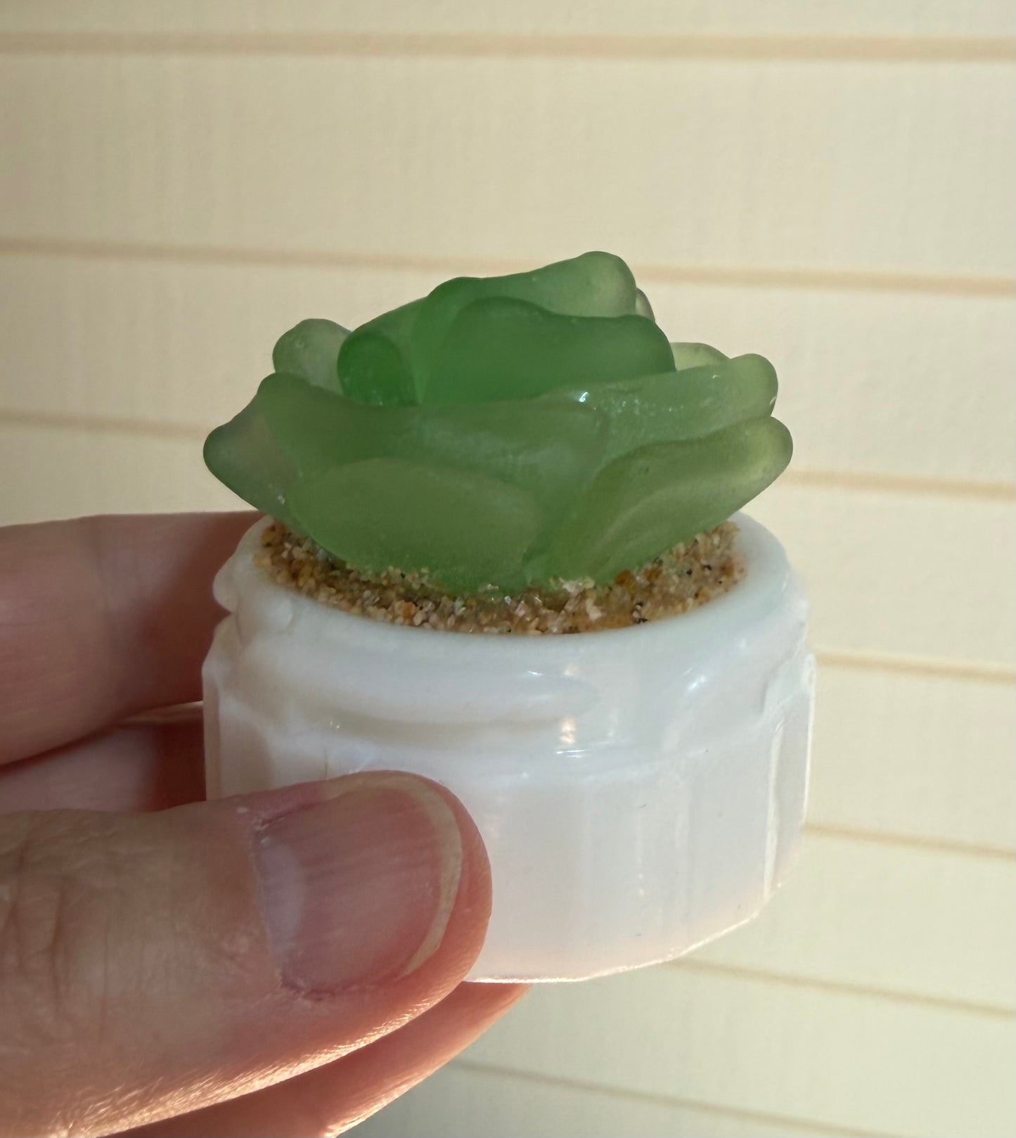 Sea Glass Succulent - Sea Foam (215)