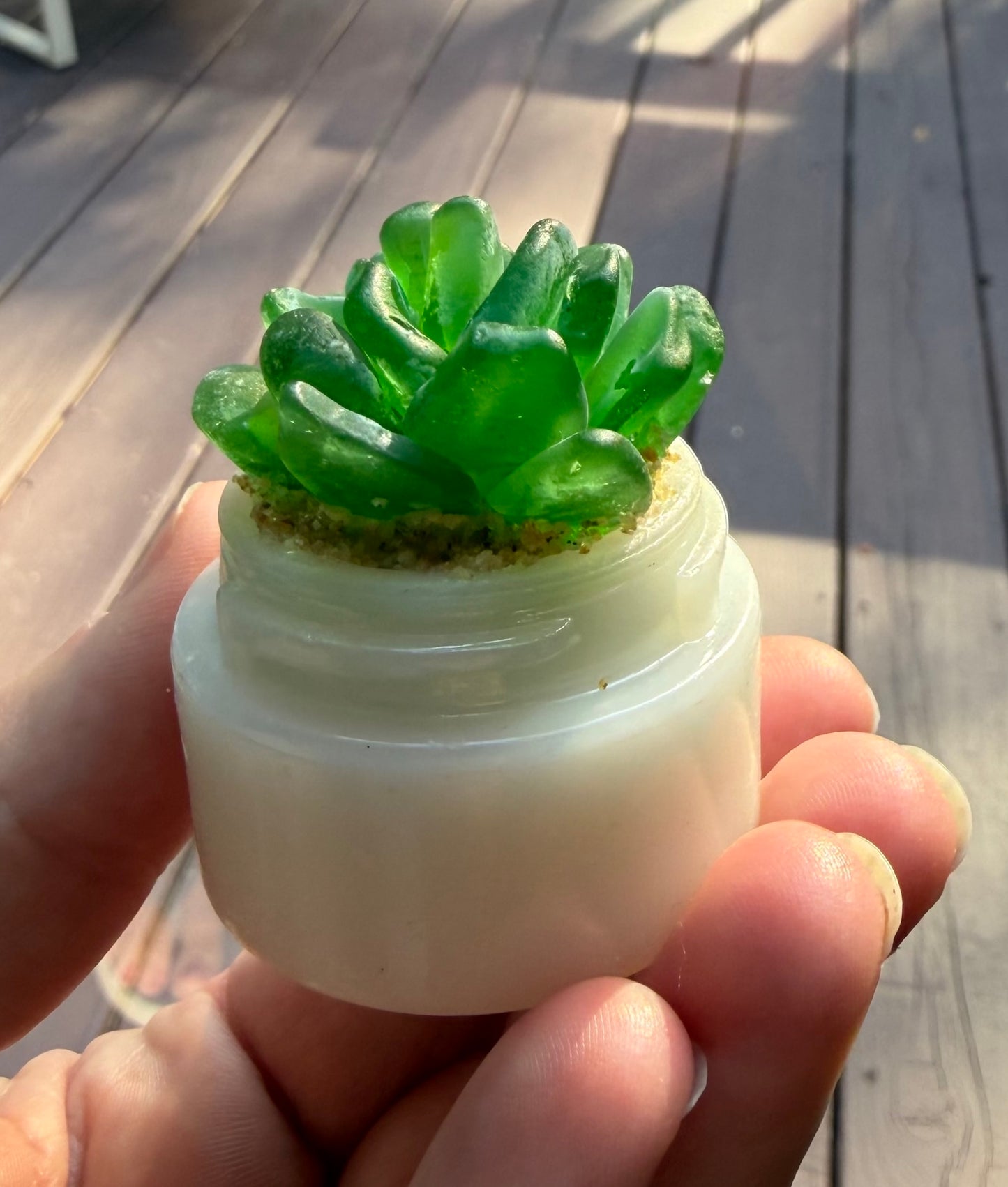 Sea Glass Succulent - Green (223)