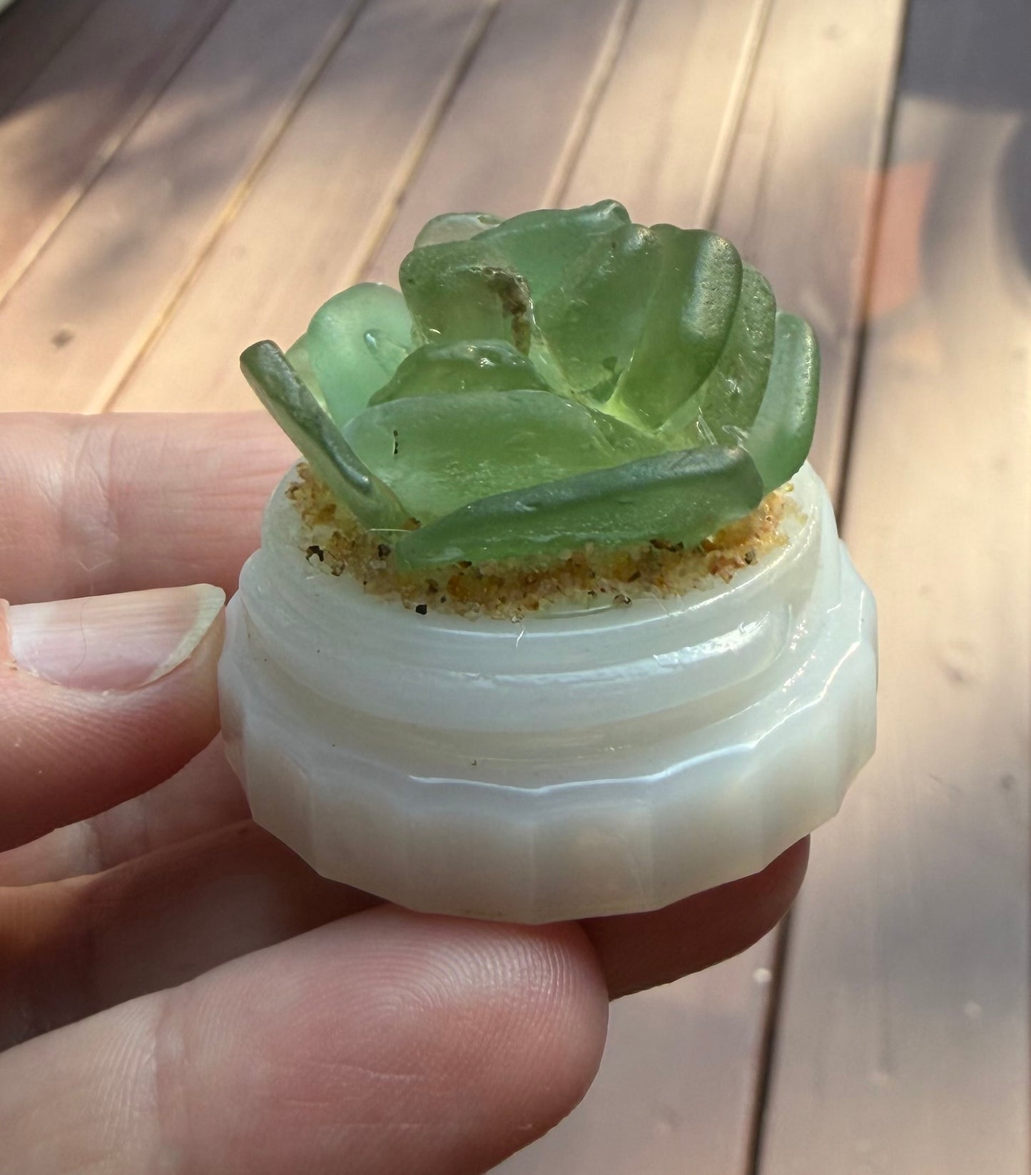 Sea Glass Succulent - Sage Green (222)