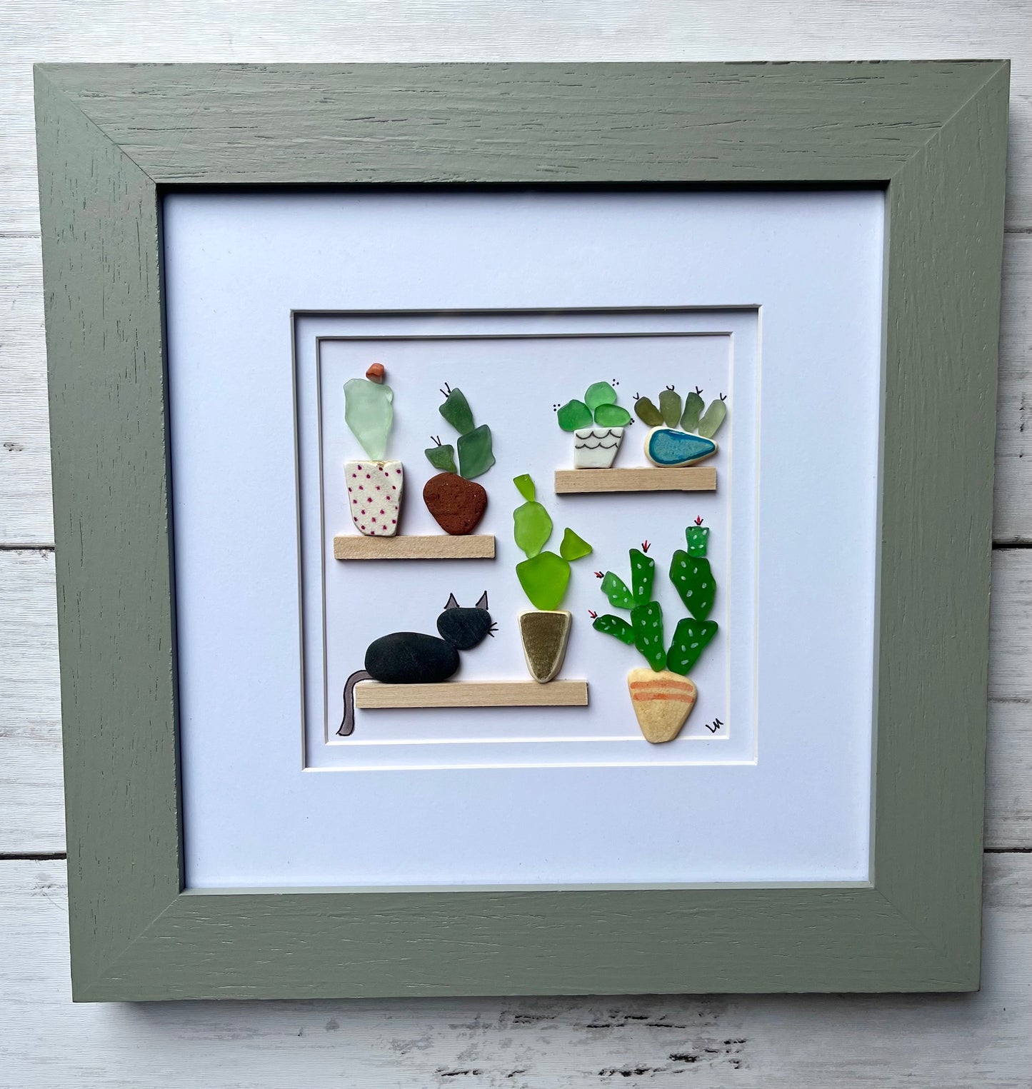 Plants & Cacti & Cat