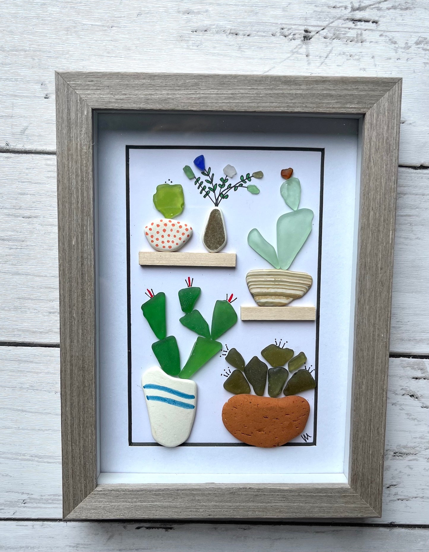 Plants & Cacti