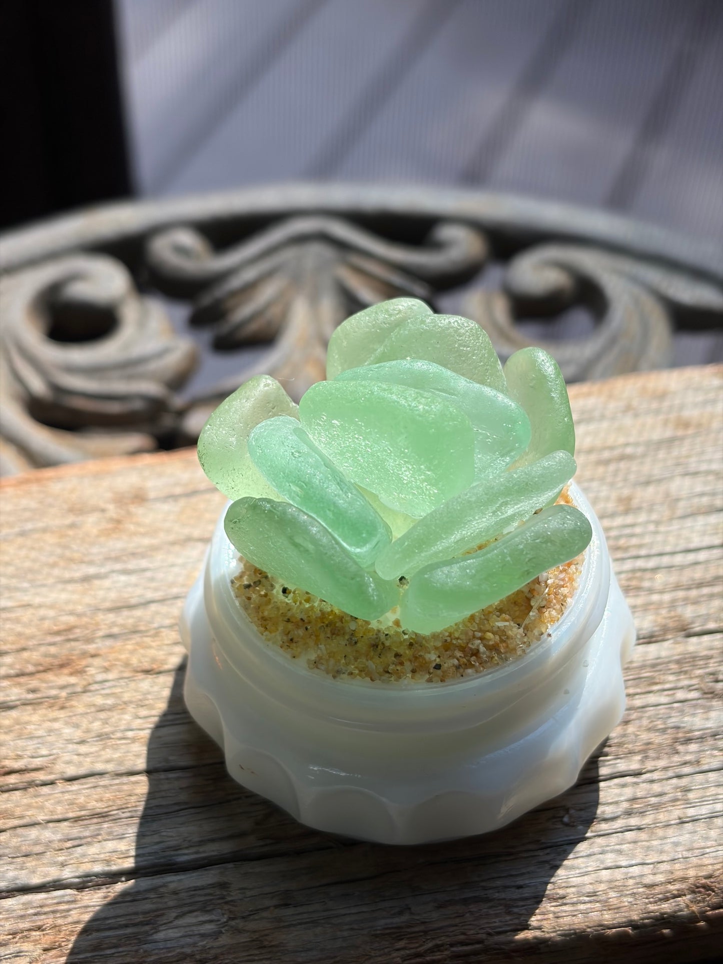 Sea Glass Succulent - Sea foam (206)