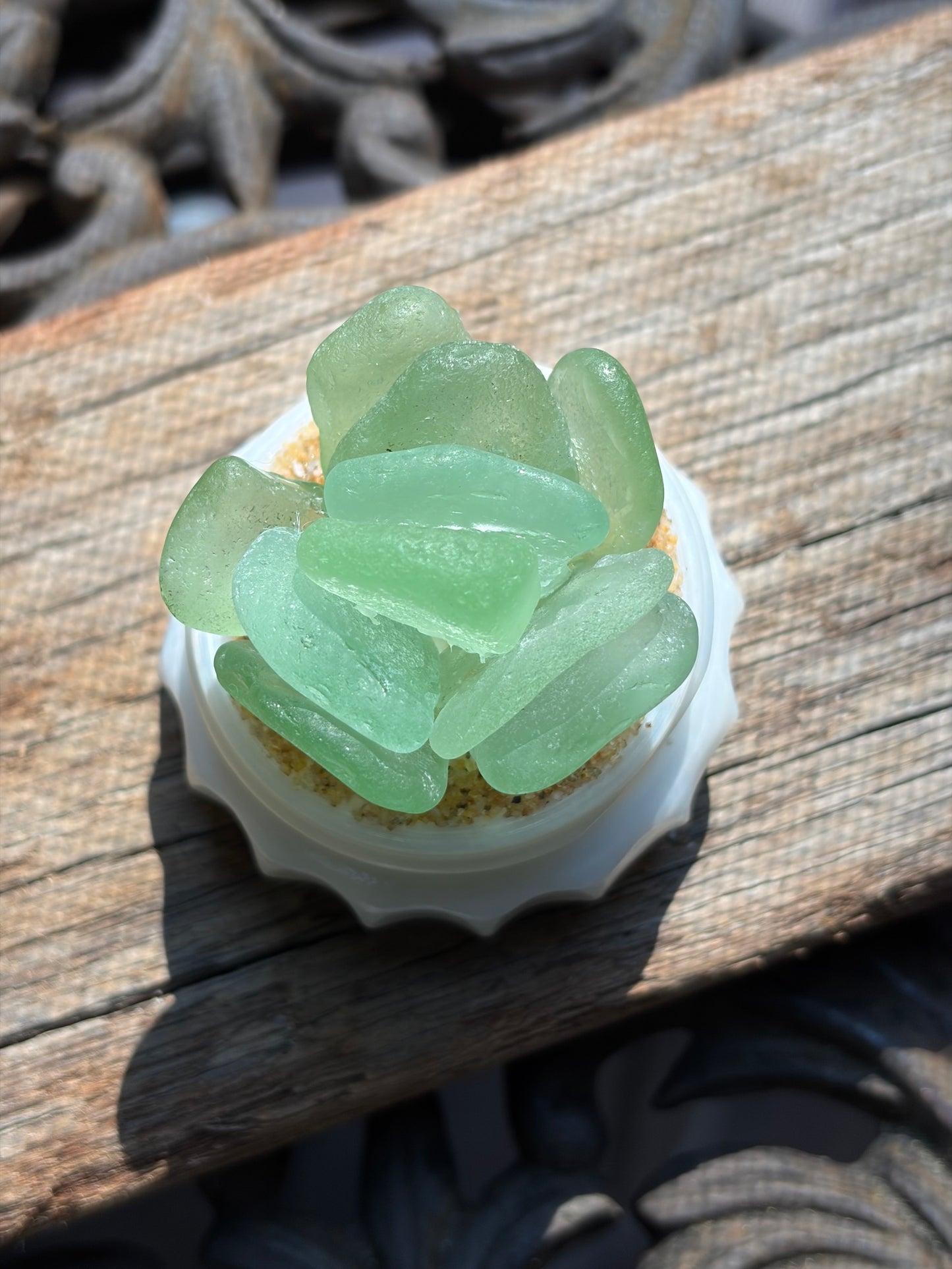 Sea Glass Succulent - Sea foam (206)