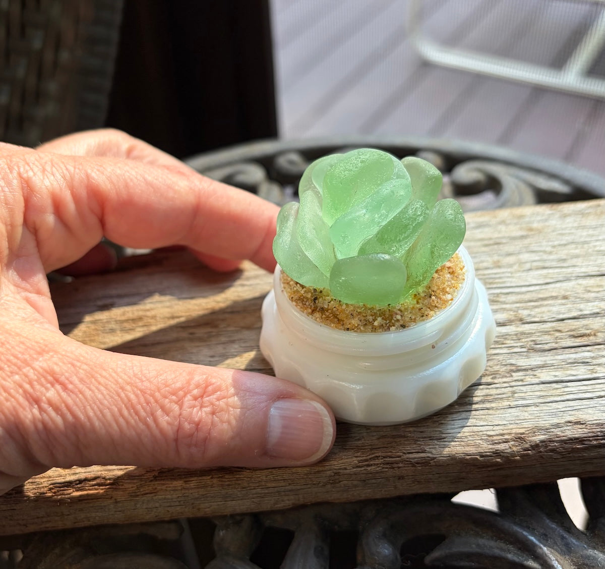 Sea Glass Succulent - Sea foam (206)