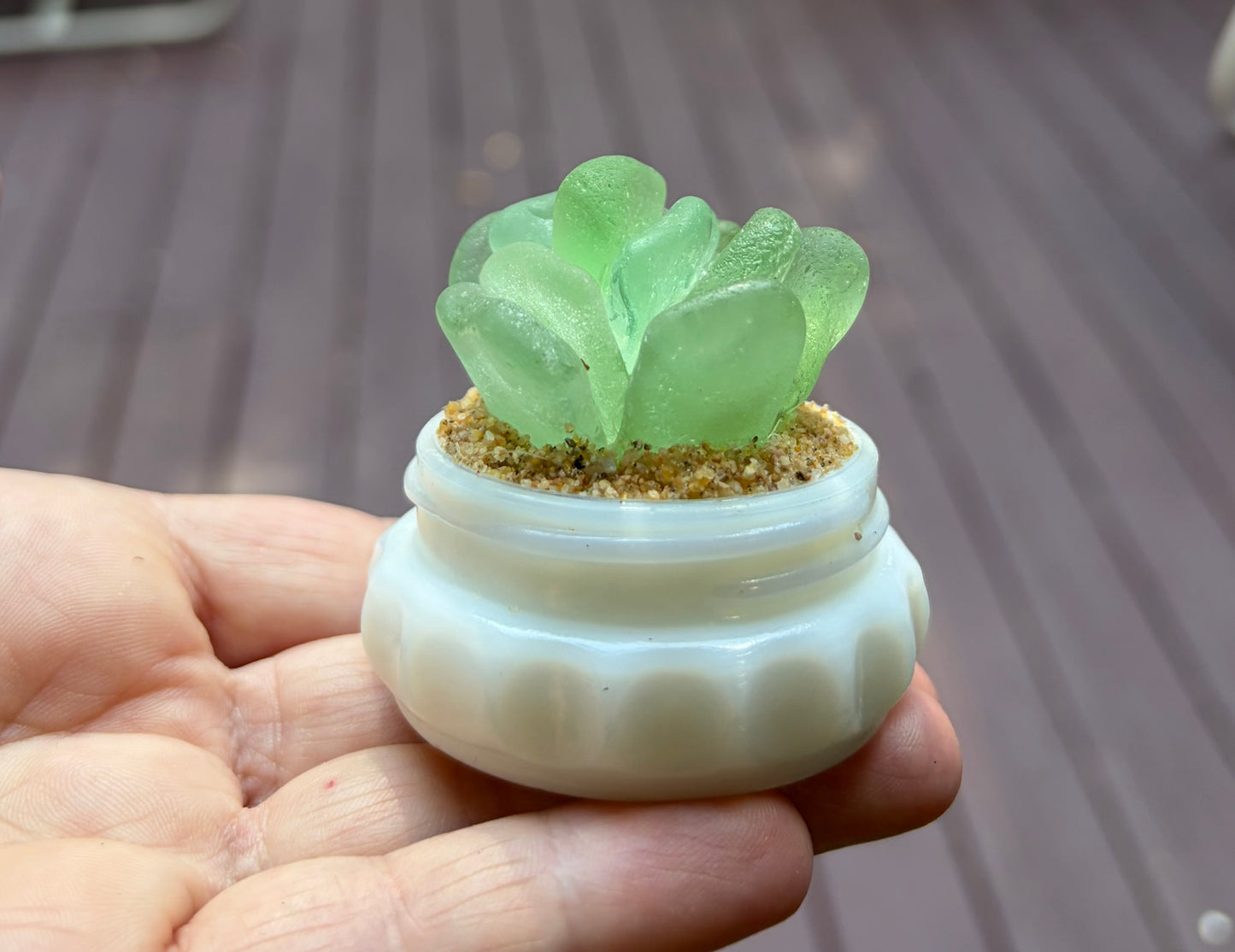 Sea Glass Succulent - Sea foam (206)