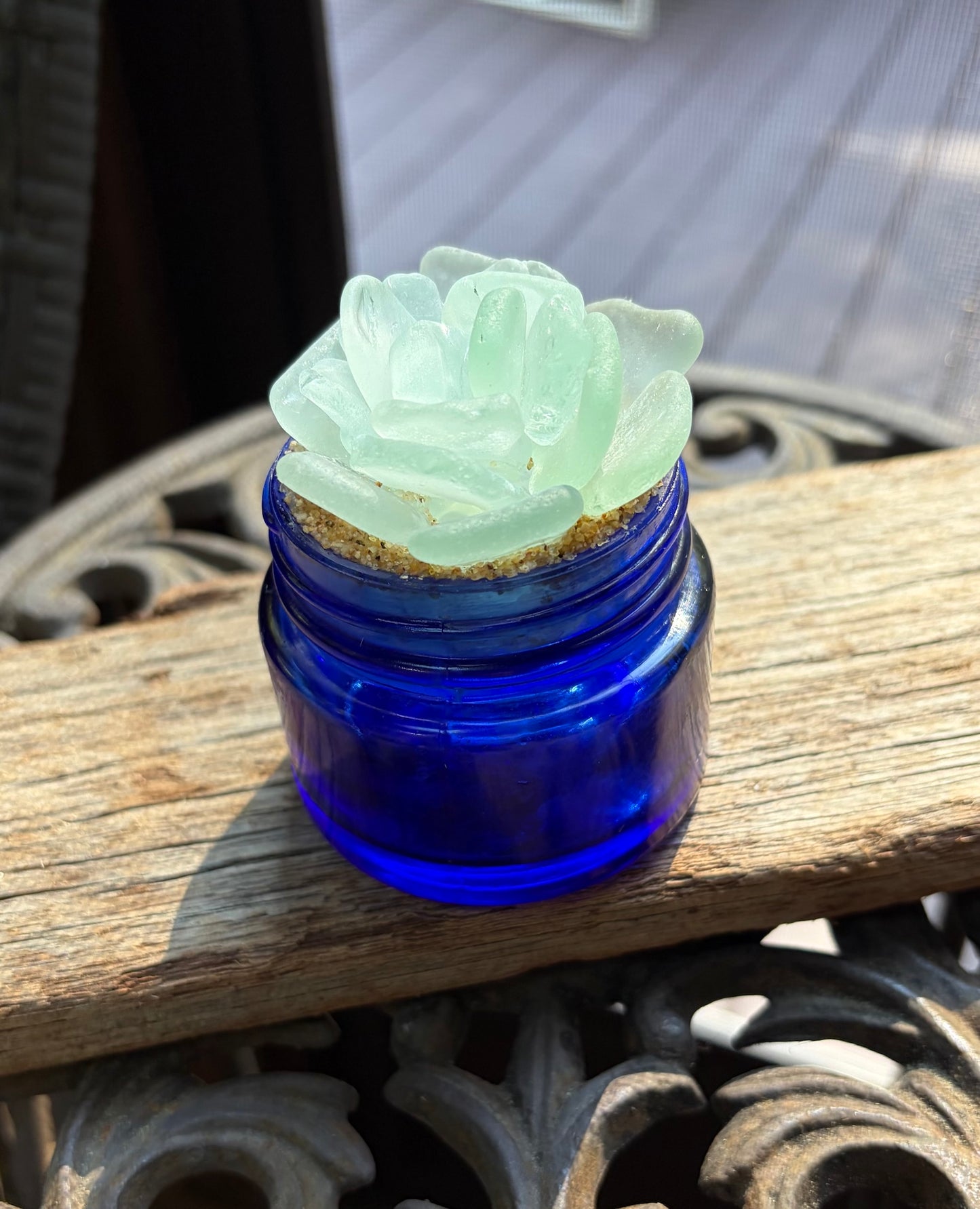 Sea Glass Succulent - Pale Blue (208)