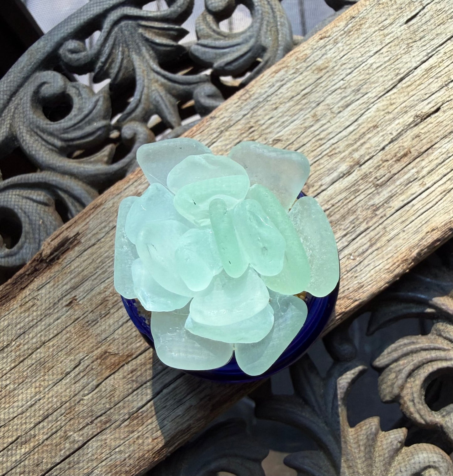 Sea Glass Succulent - Pale Blue (208)