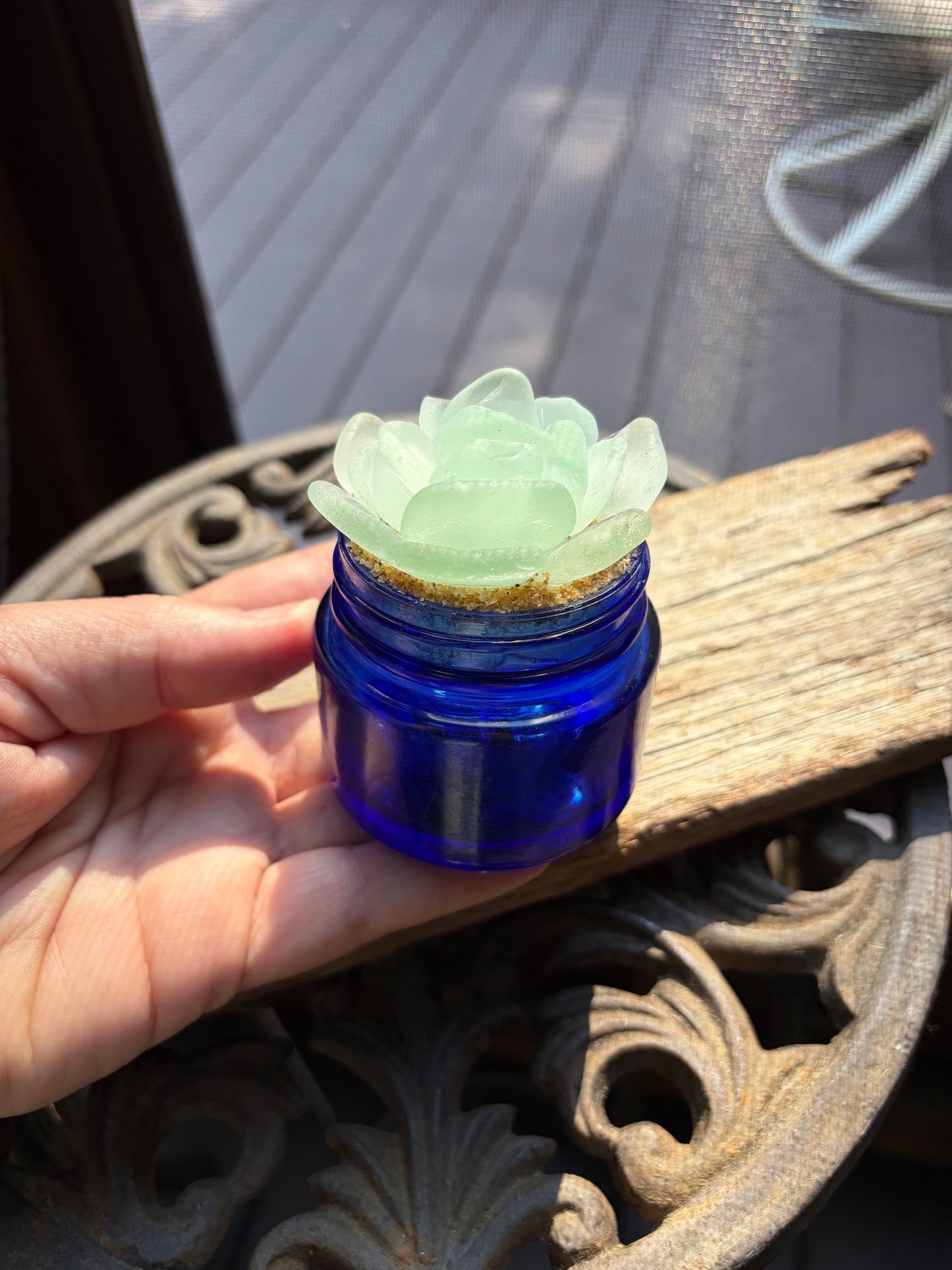 Sea Glass Succulent - Pale Blue (208)