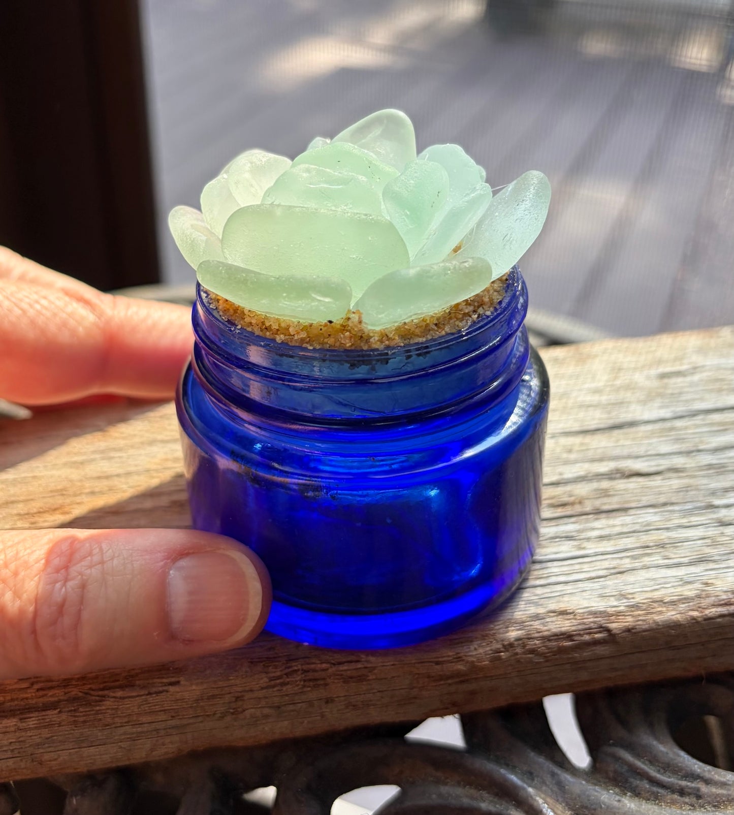 Sea Glass Succulent - Pale Blue (208)