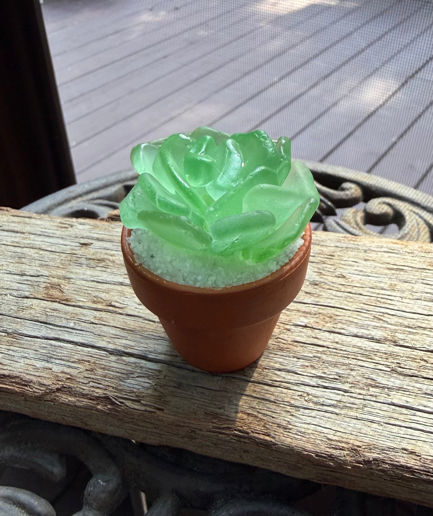 Sea Glass Succulent - Sea Foam (207)