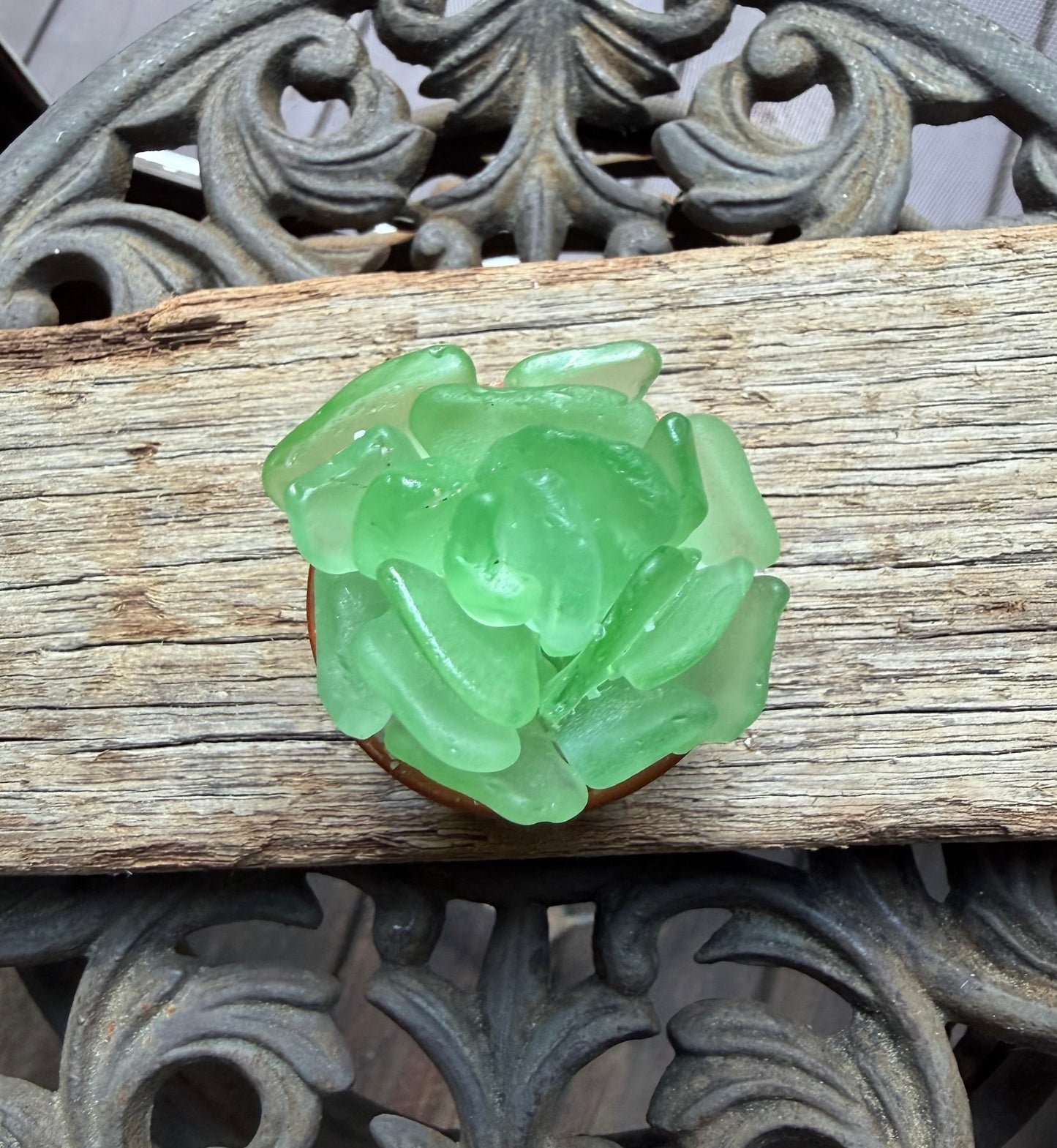 Sea Glass Succulent - Sea Foam (207)