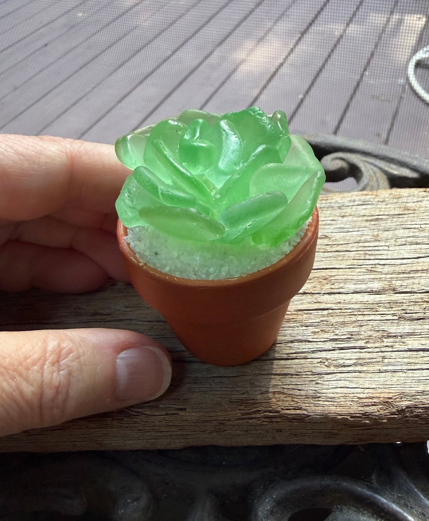 Sea Glass Succulent - Sea Foam (207)