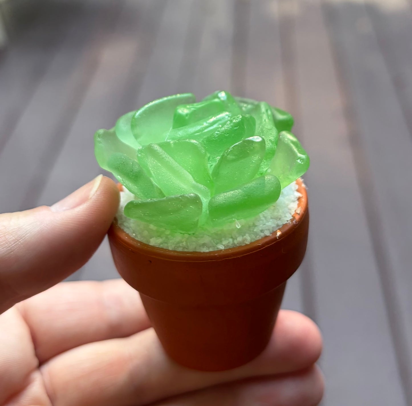 Sea Glass Succulent - Sea Foam (207)