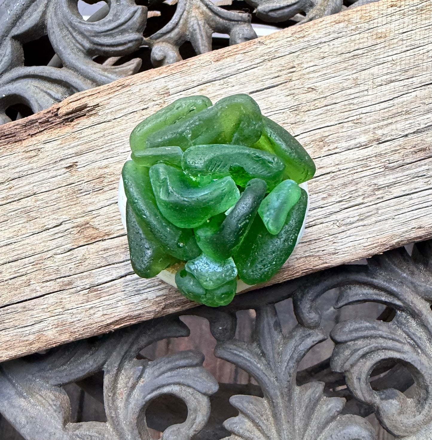 Sea Glass Succulent - Green (209)