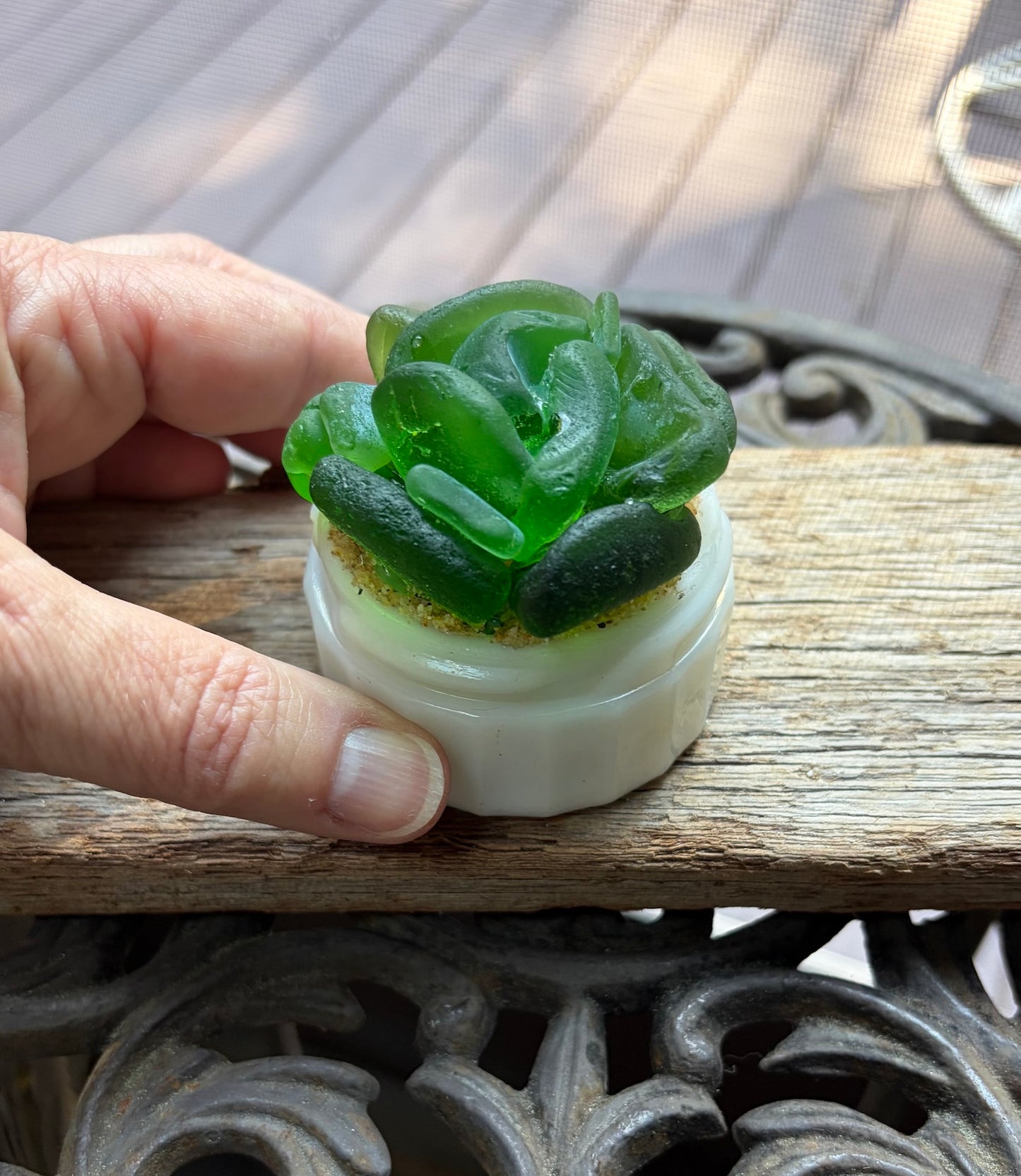 Sea Glass Succulent - Green (209)