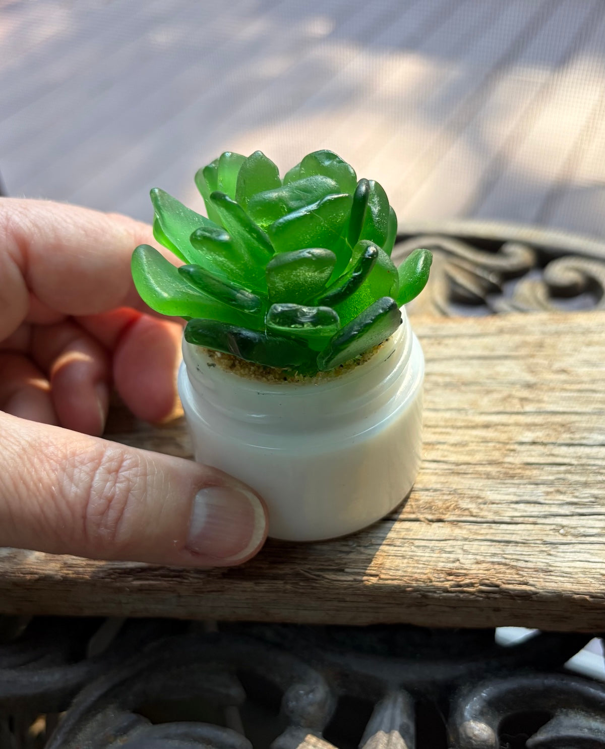 Sea Glass Succulent - Green (210)