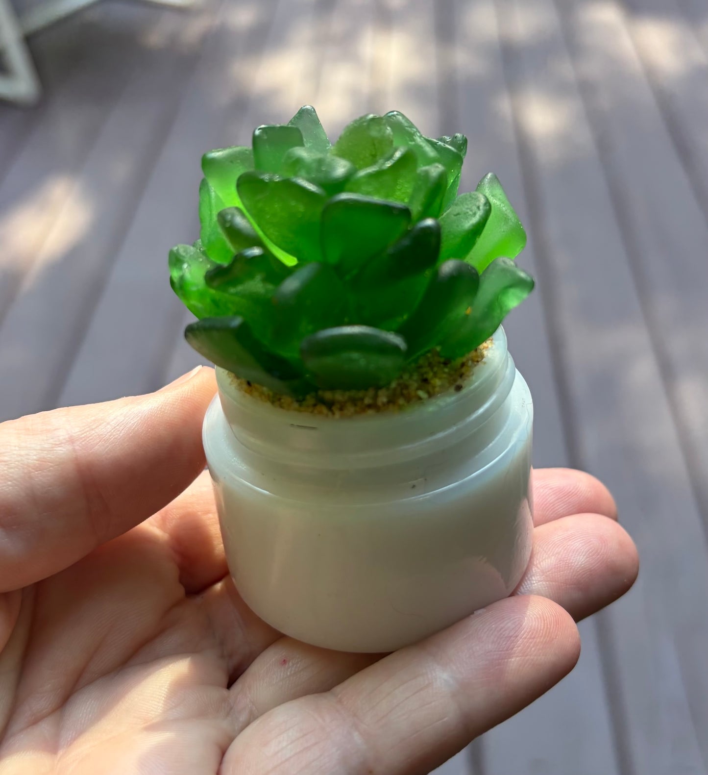 Sea Glass Succulent - Green (210)
