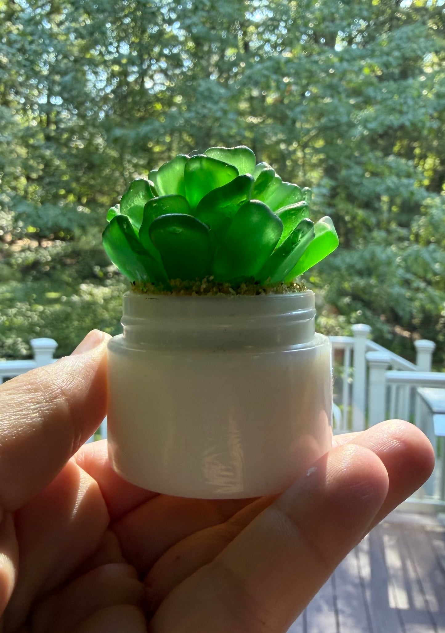 Sea Glass Succulent - Green (210)