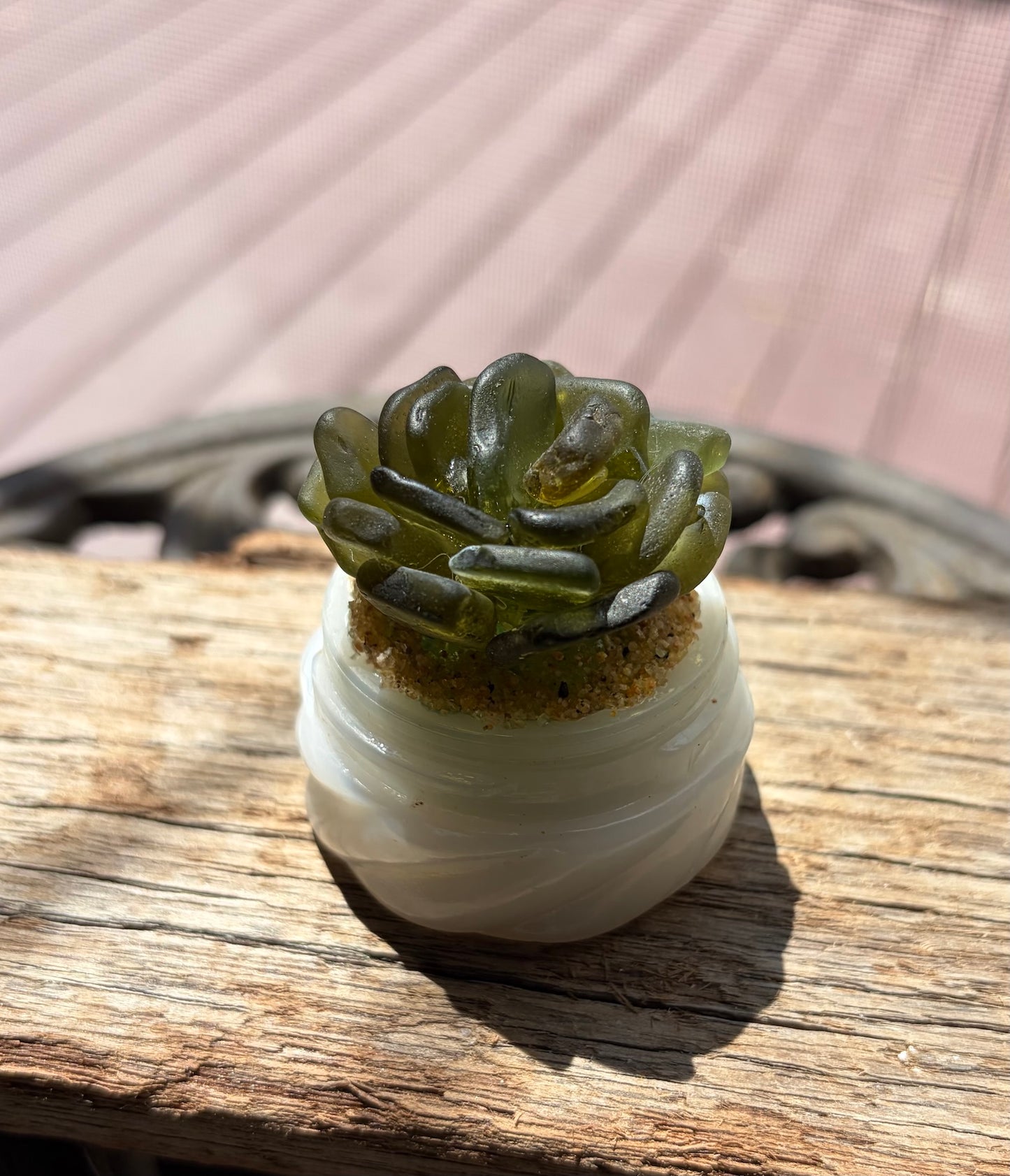 Sea Glass Succulent - Olive Green (213)