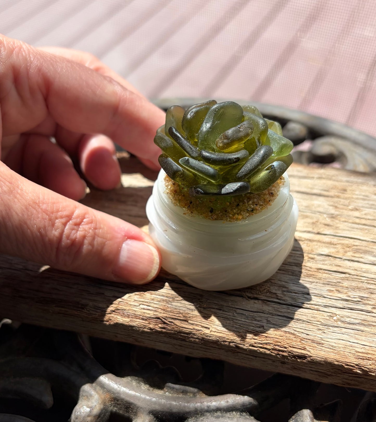Sea Glass Succulent - Olive Green (213)