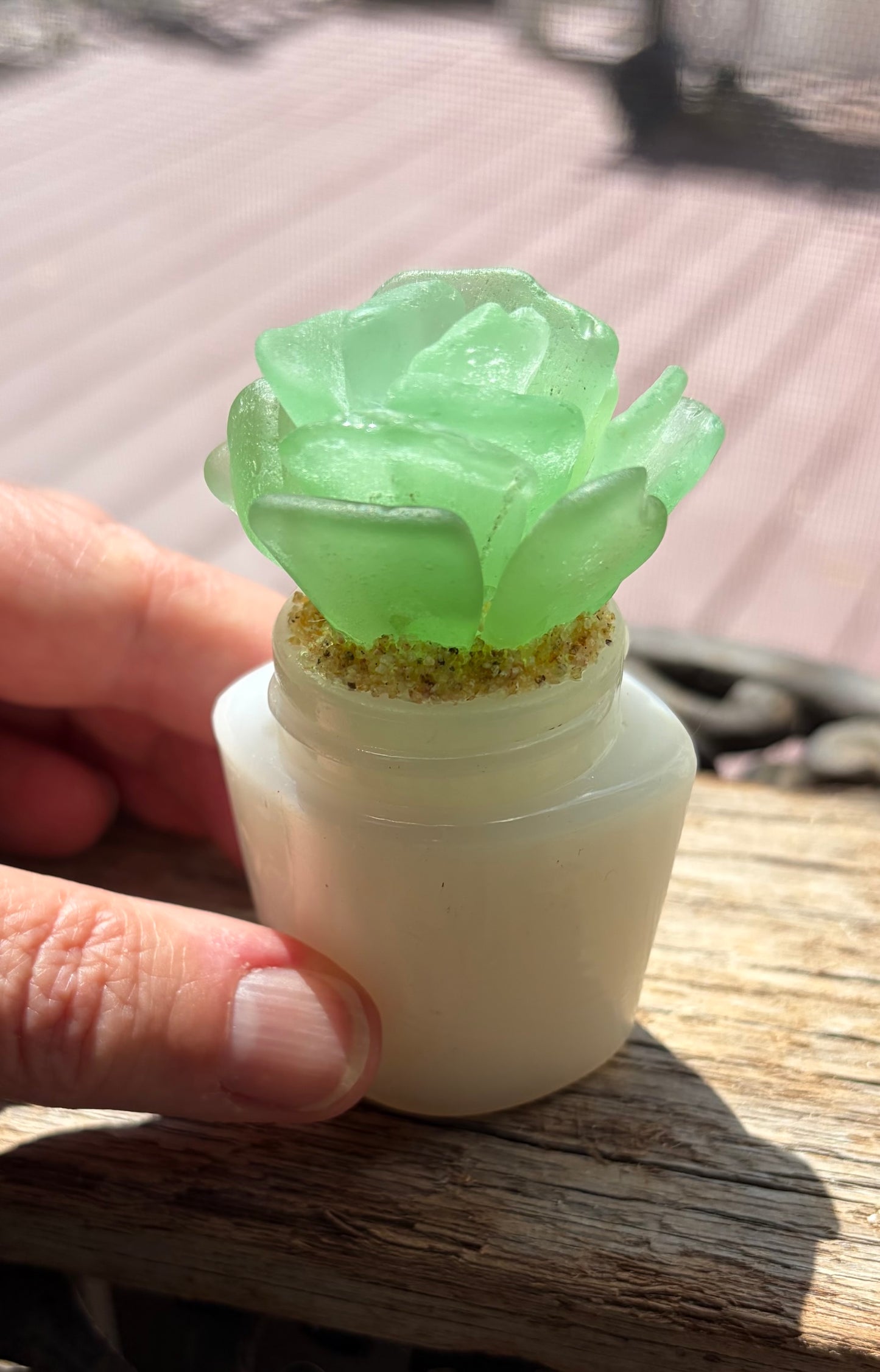 Sea Glass Succulent - Sea foam (220)