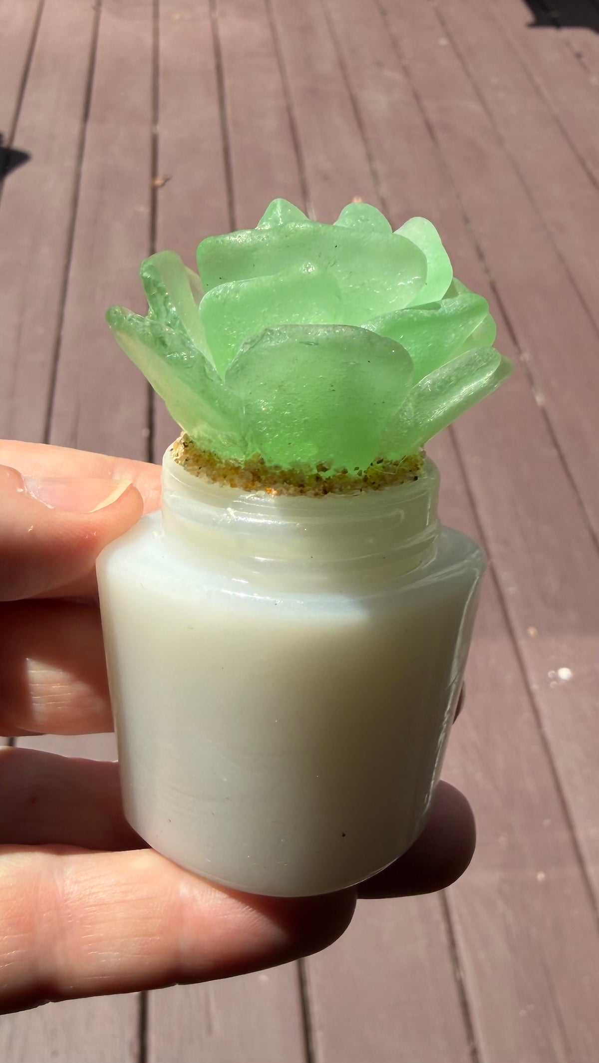 Sea Glass Succulent - Sea foam (220)
