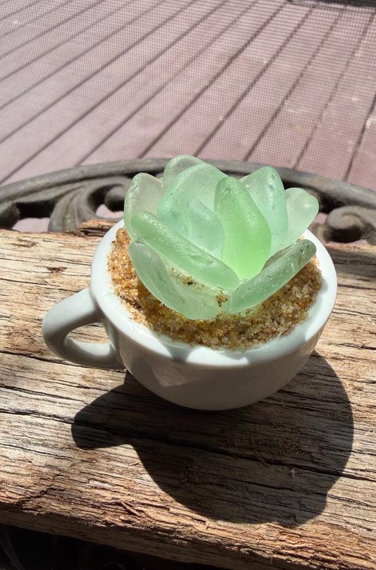 Sea Glass Succulent - Sea Foam (219)