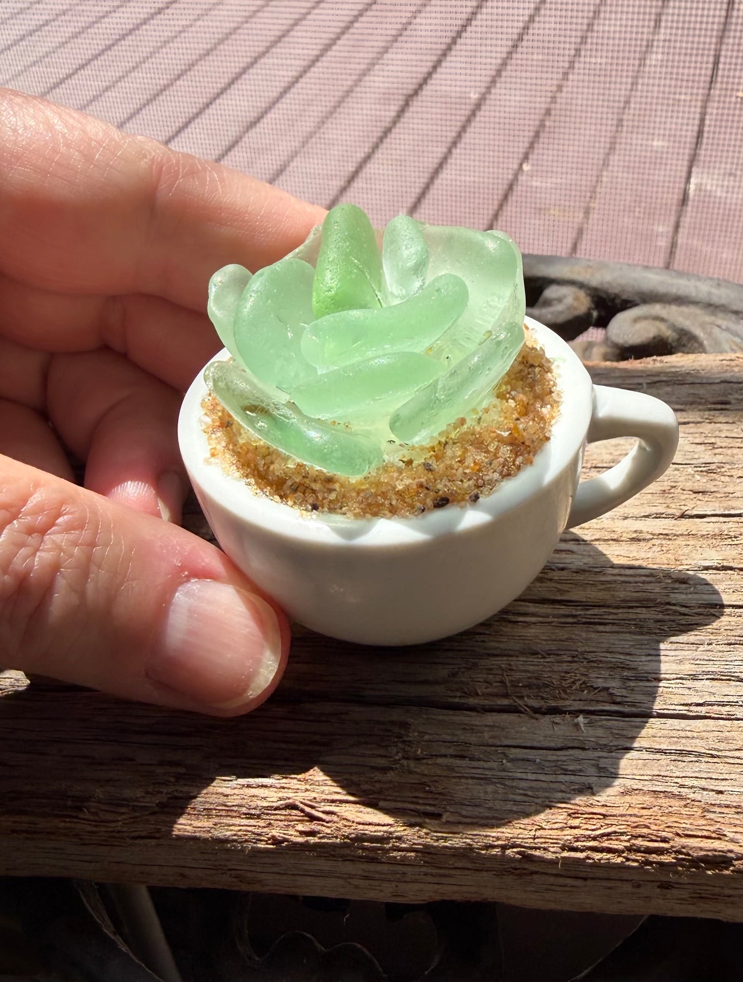 Sea Glass Succulent - Sea Foam (219)