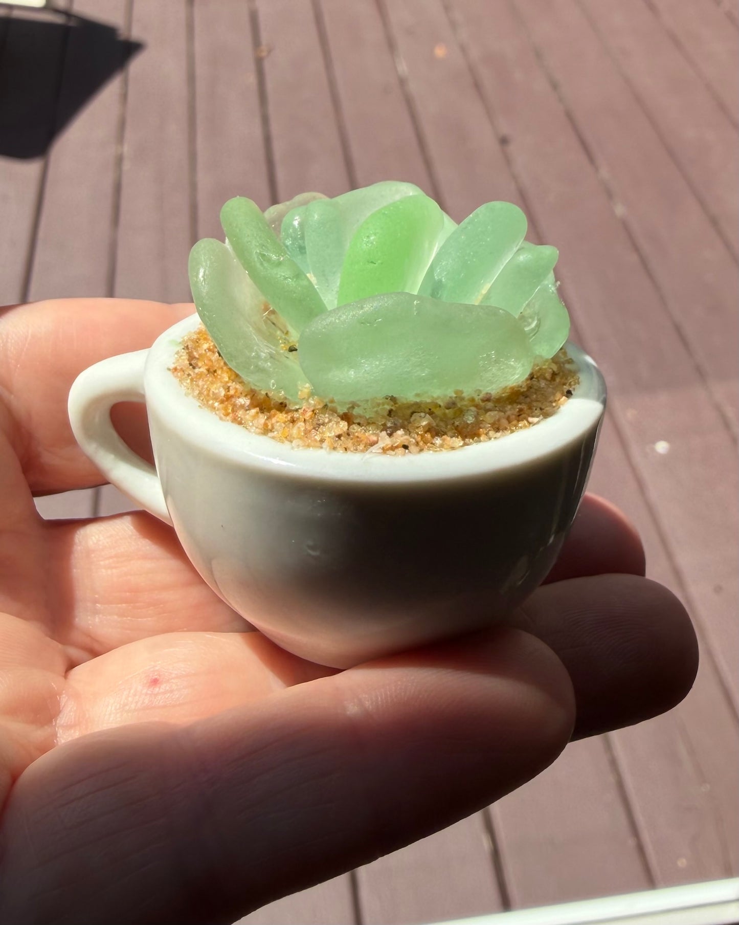 Sea Glass Succulent - Sea Foam (219)
