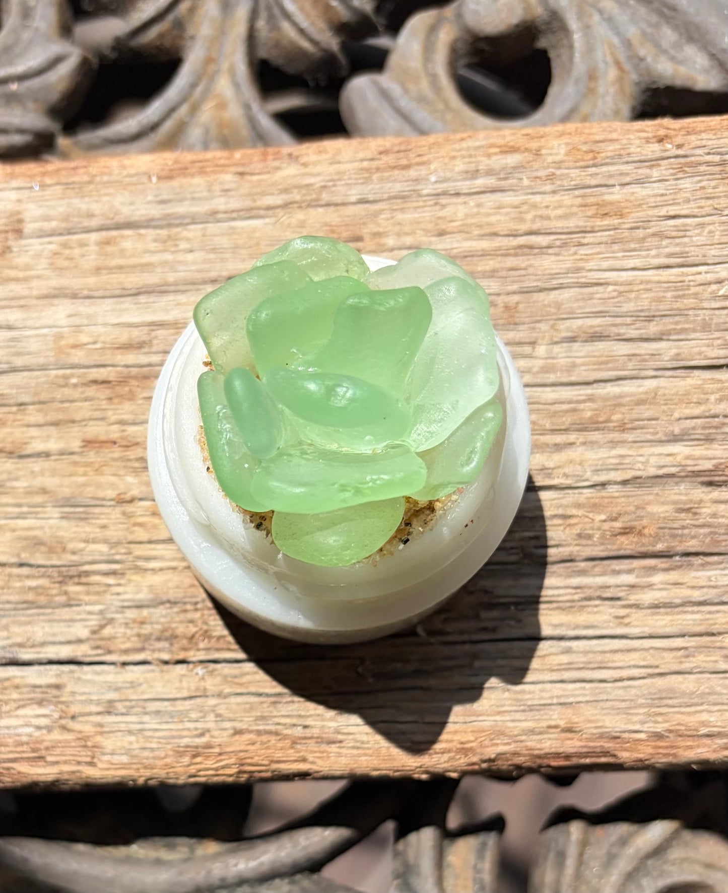 Sea Glass Succulent - Sea Foam (214)