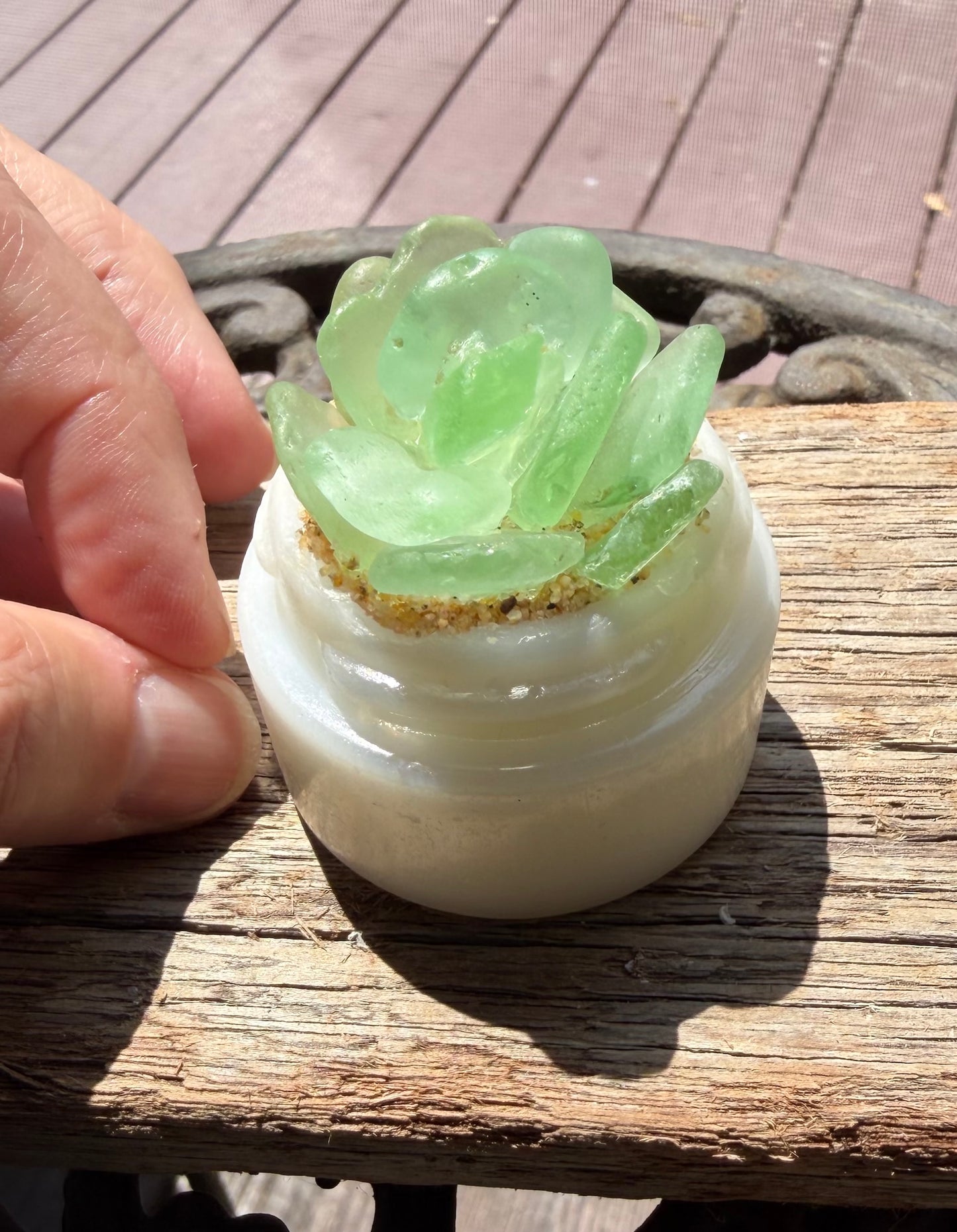 Sea Glass Succulent - Sea Foam (214)
