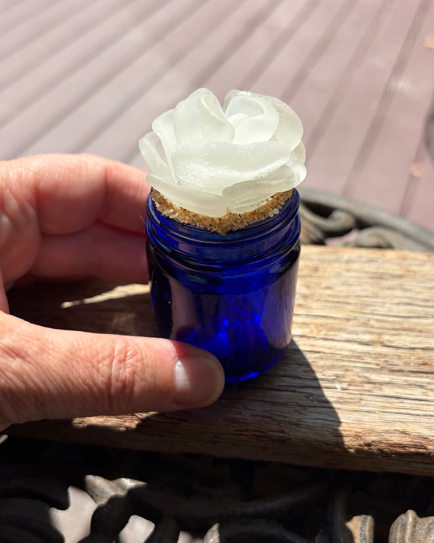 Sea Glass Succulent - White (217)