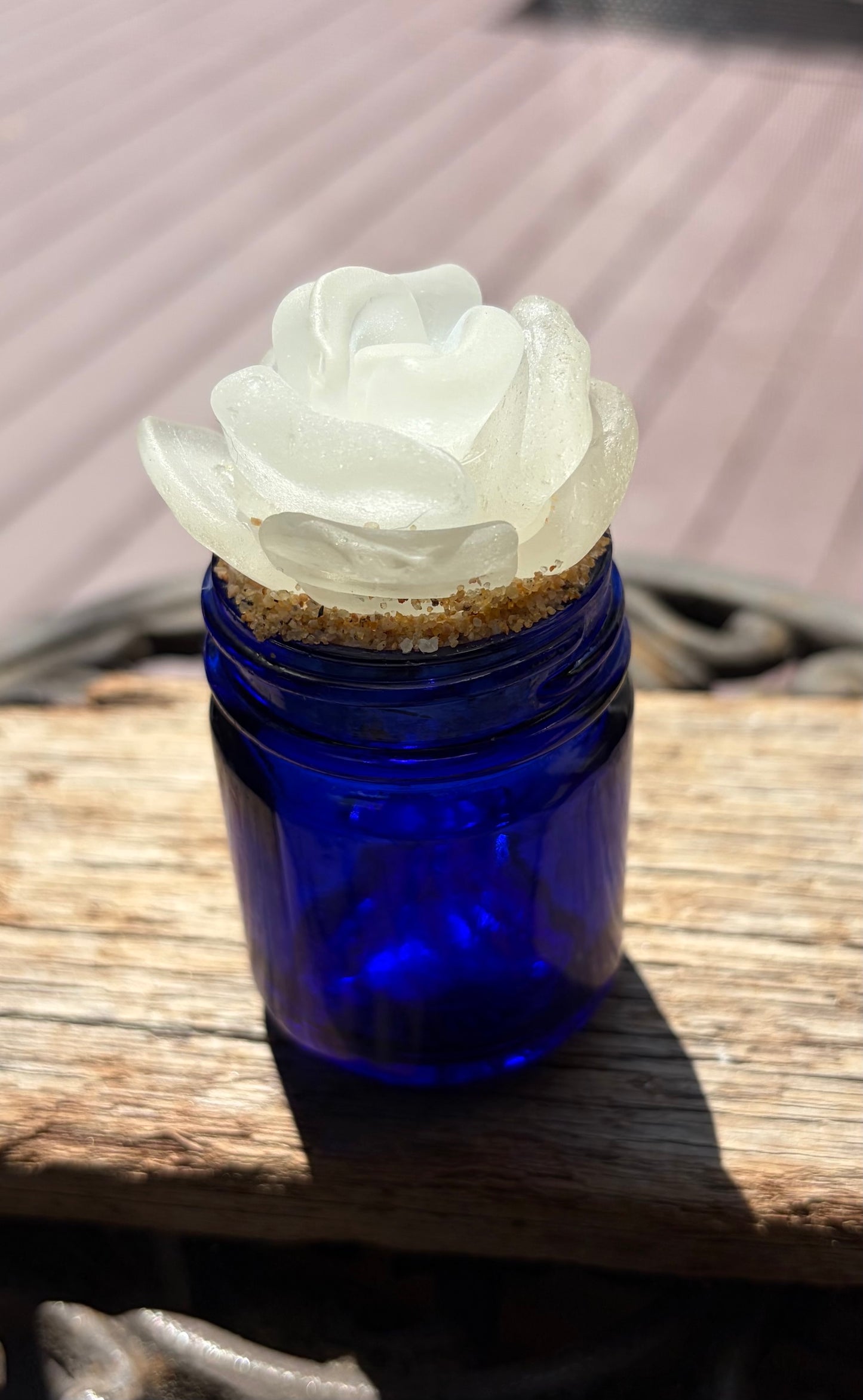 Sea Glass Succulent - White (217)