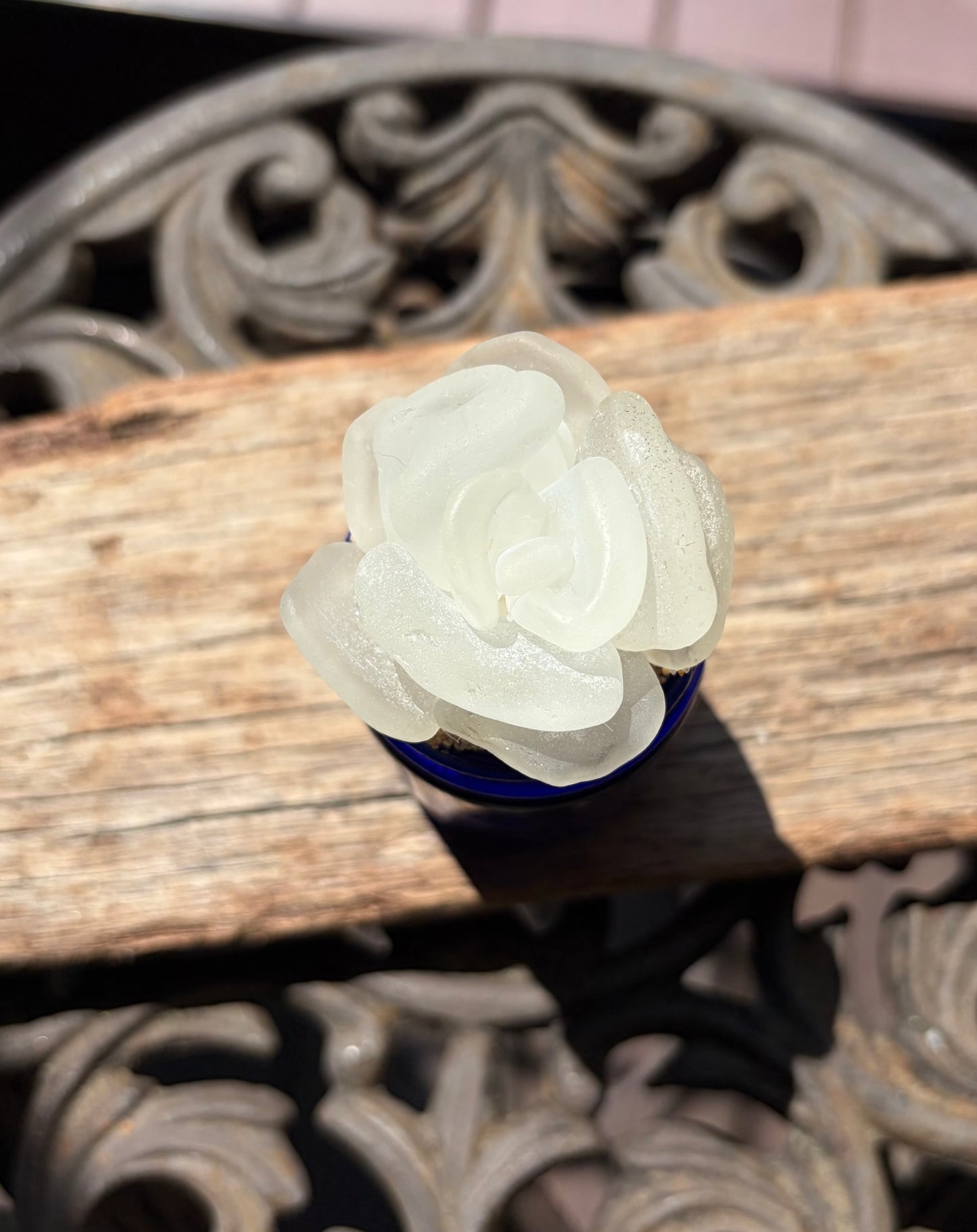 Sea Glass Succulent - White (217)