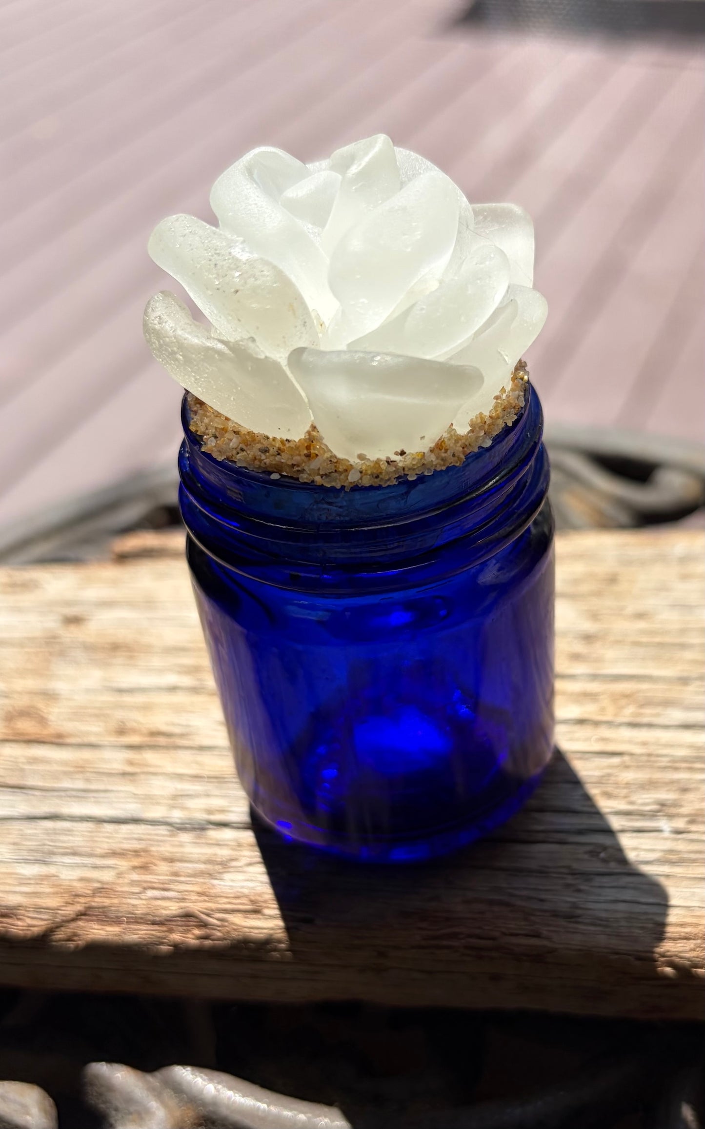 Sea Glass Succulent - White (217)