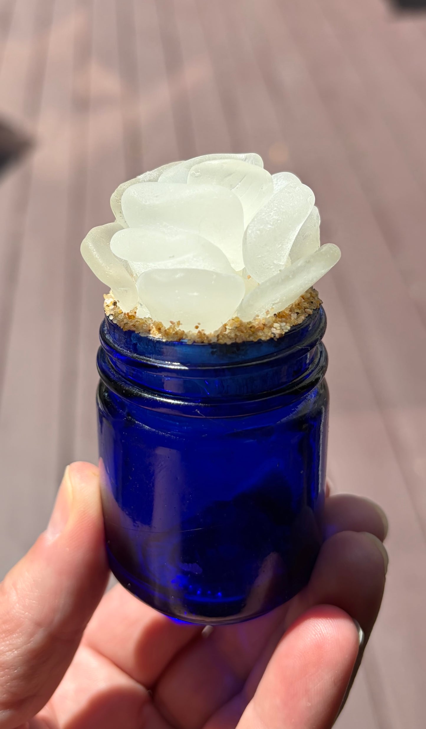 Sea Glass Succulent - White (217)