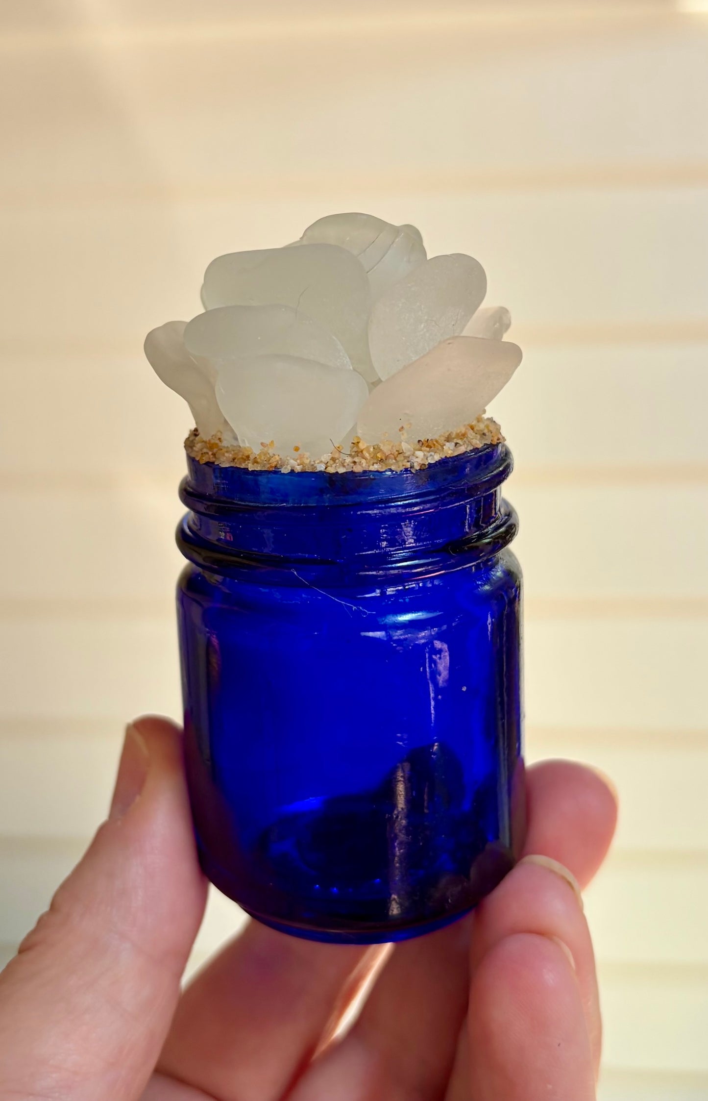 Sea Glass Succulent - White (217)
