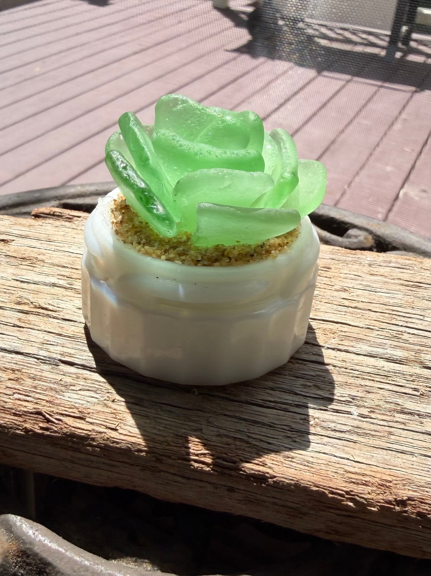 Sea Glass Succulent - Sea Foam (215)