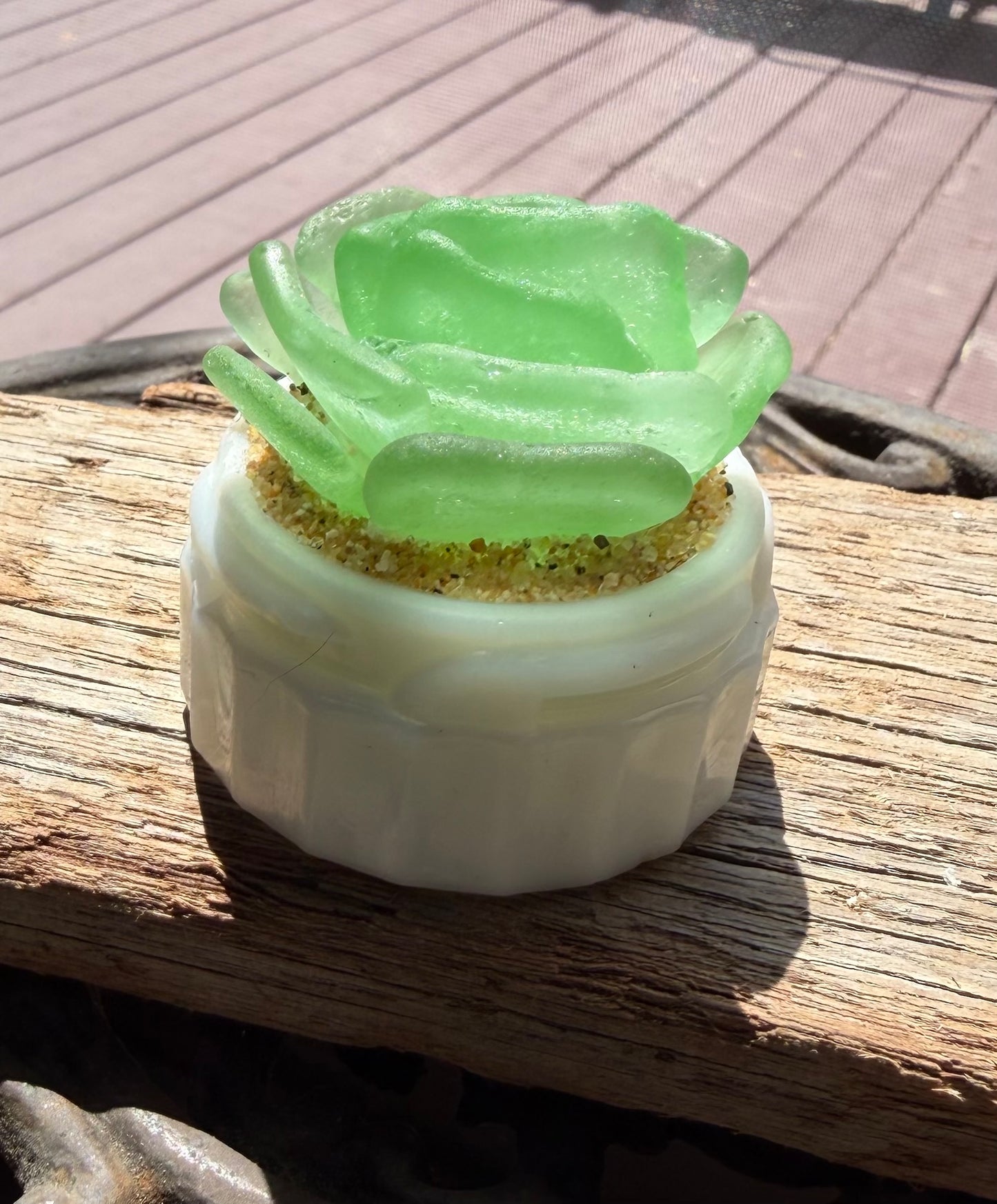 Sea Glass Succulent - Sea Foam (215)