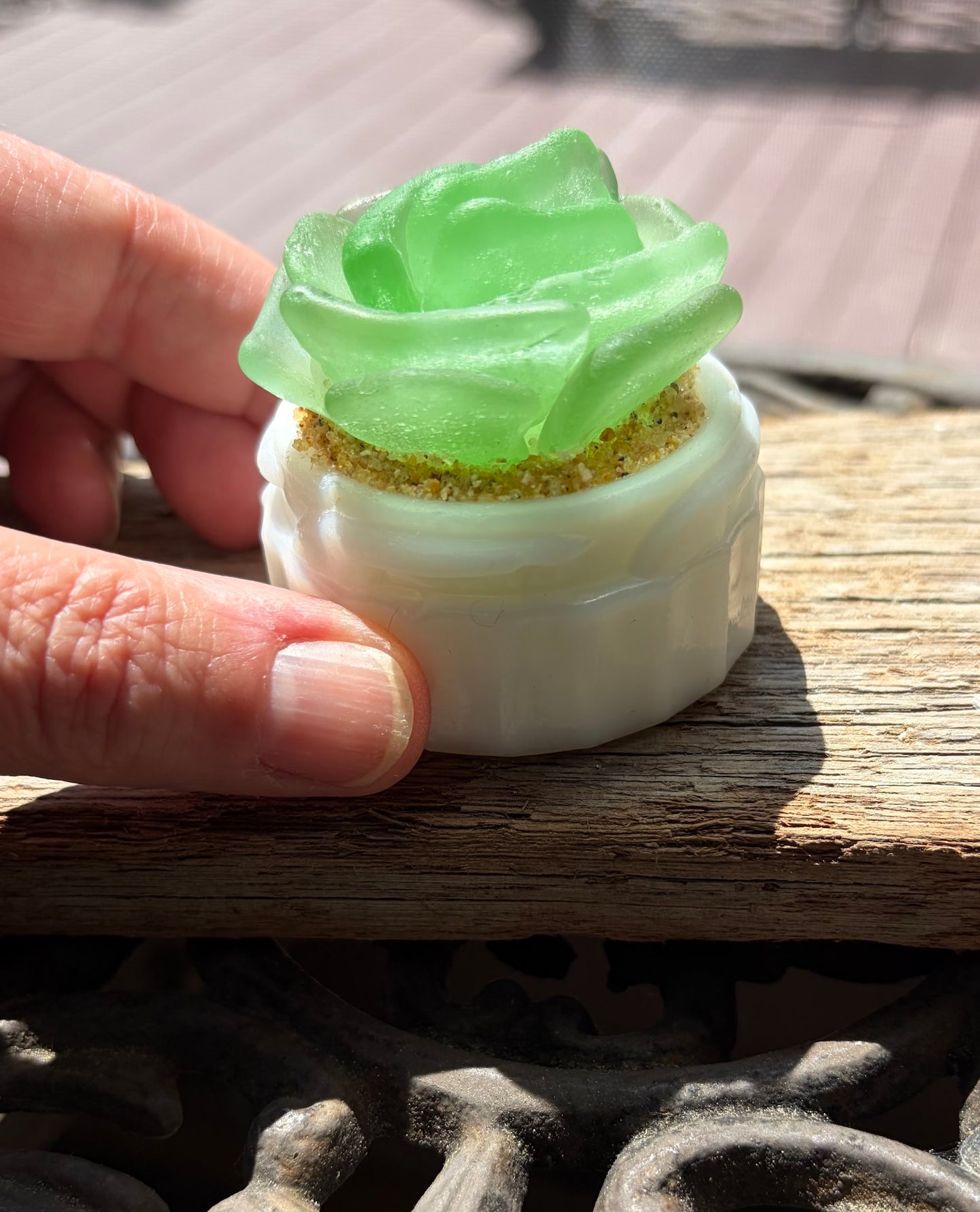 Sea Glass Succulent - Sea Foam (215)