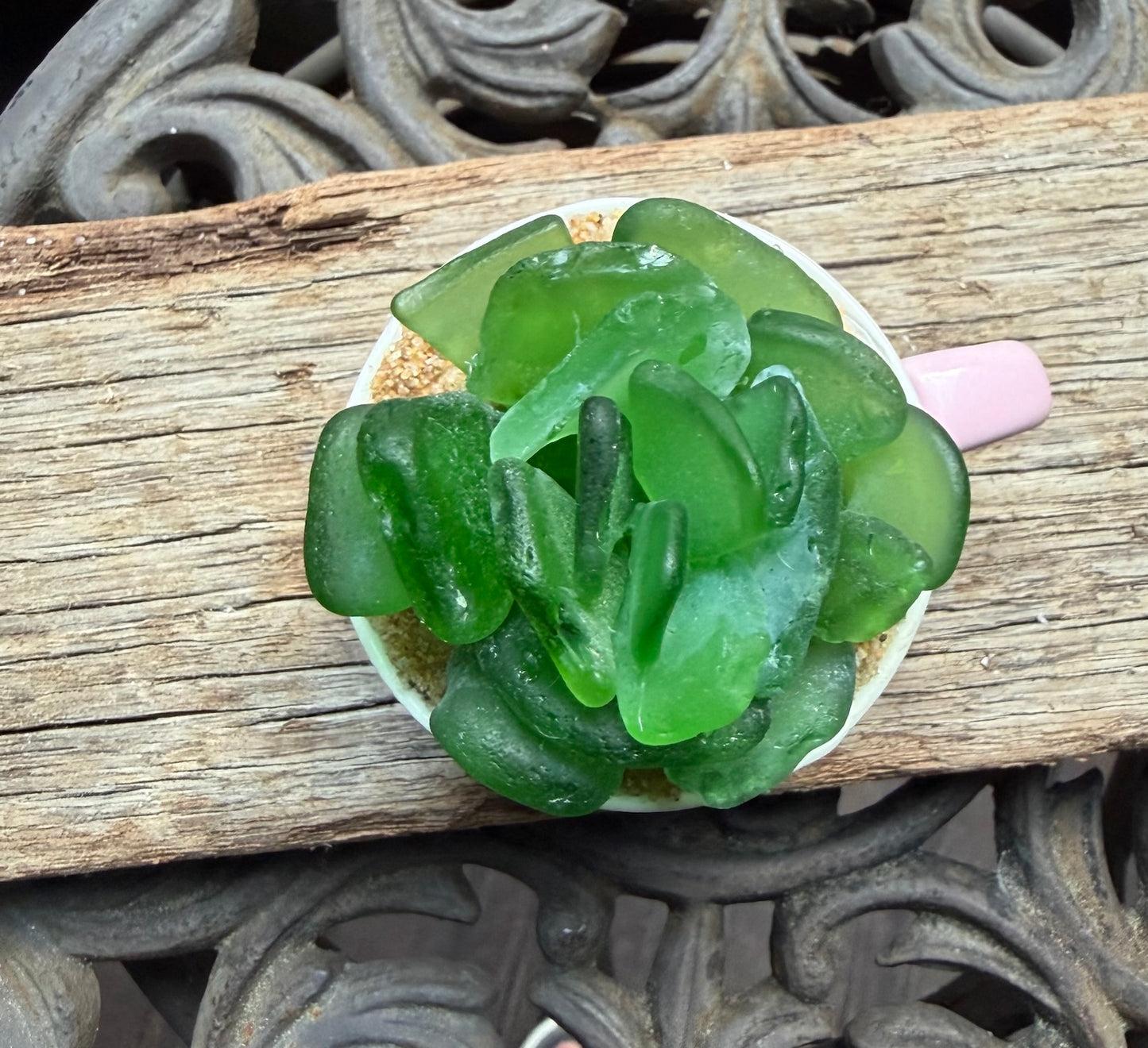 Sea Glass Succulent - Green (212)