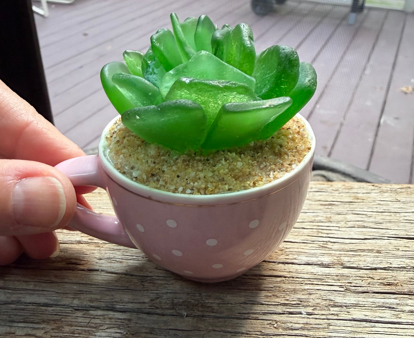 Sea Glass Succulent - Green (212)