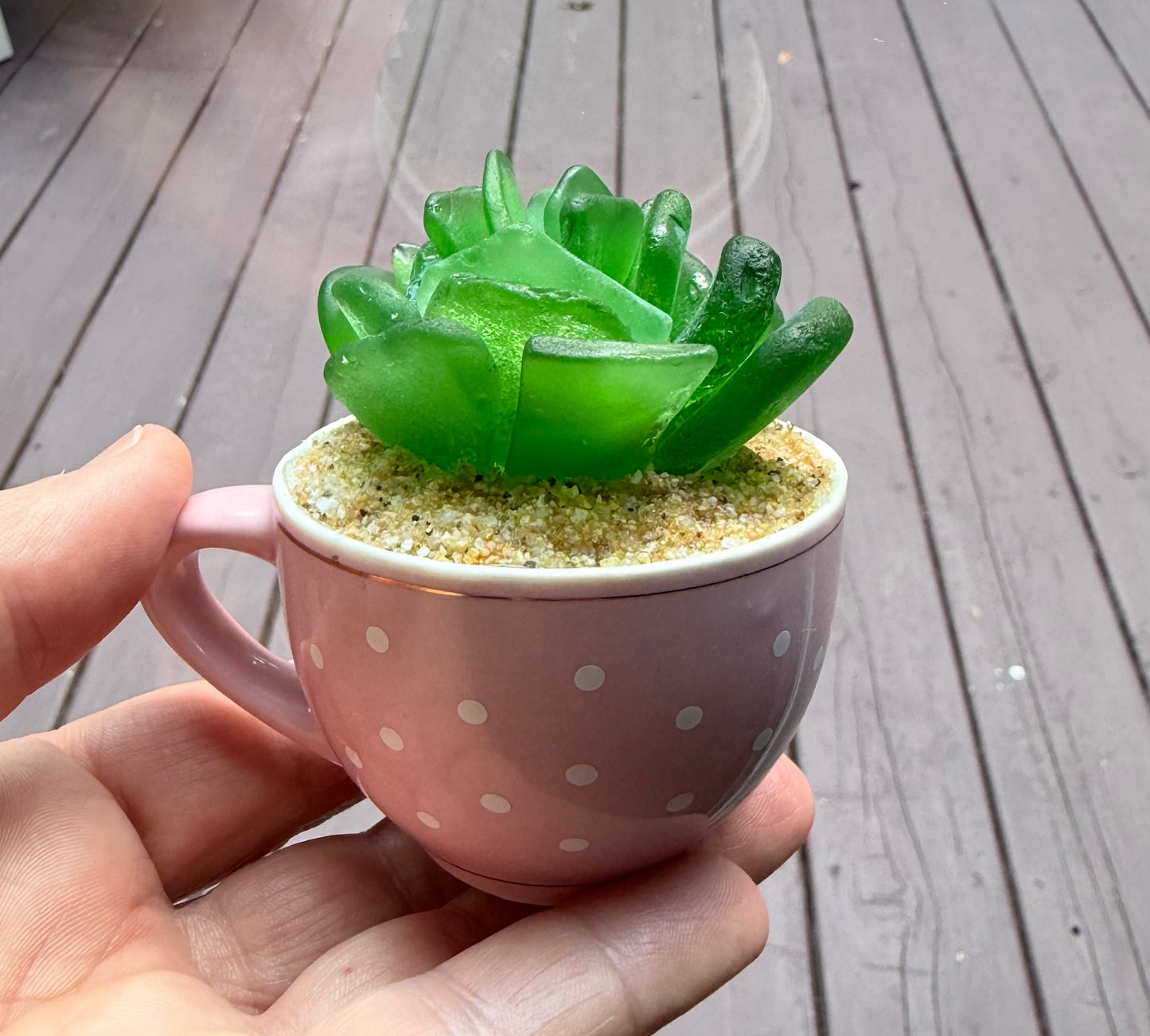 Sea Glass Succulent - Green (212)
