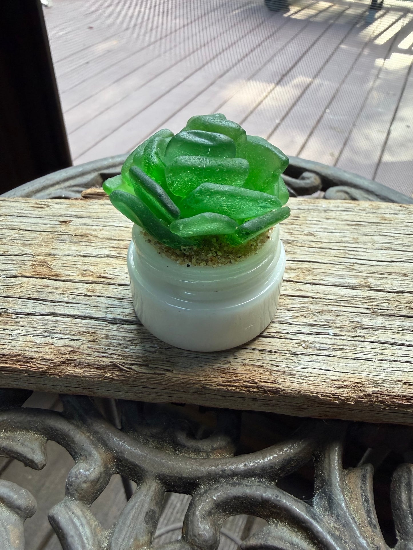 Sea Glass Succulent - Green (221)