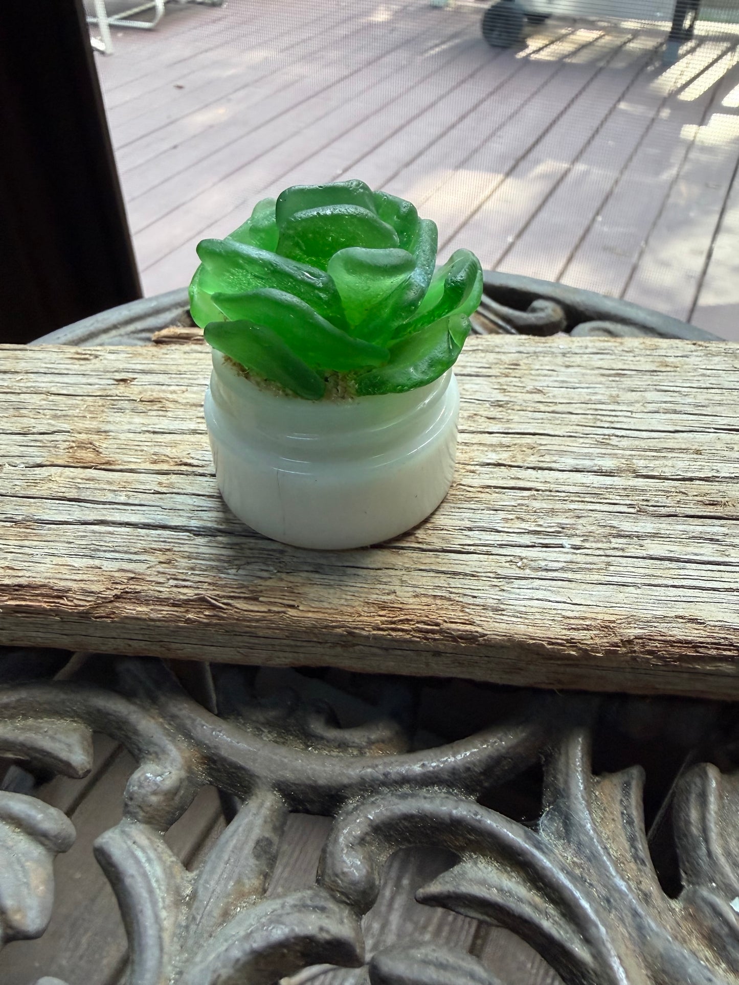 Sea Glass Succulent - Green (221)