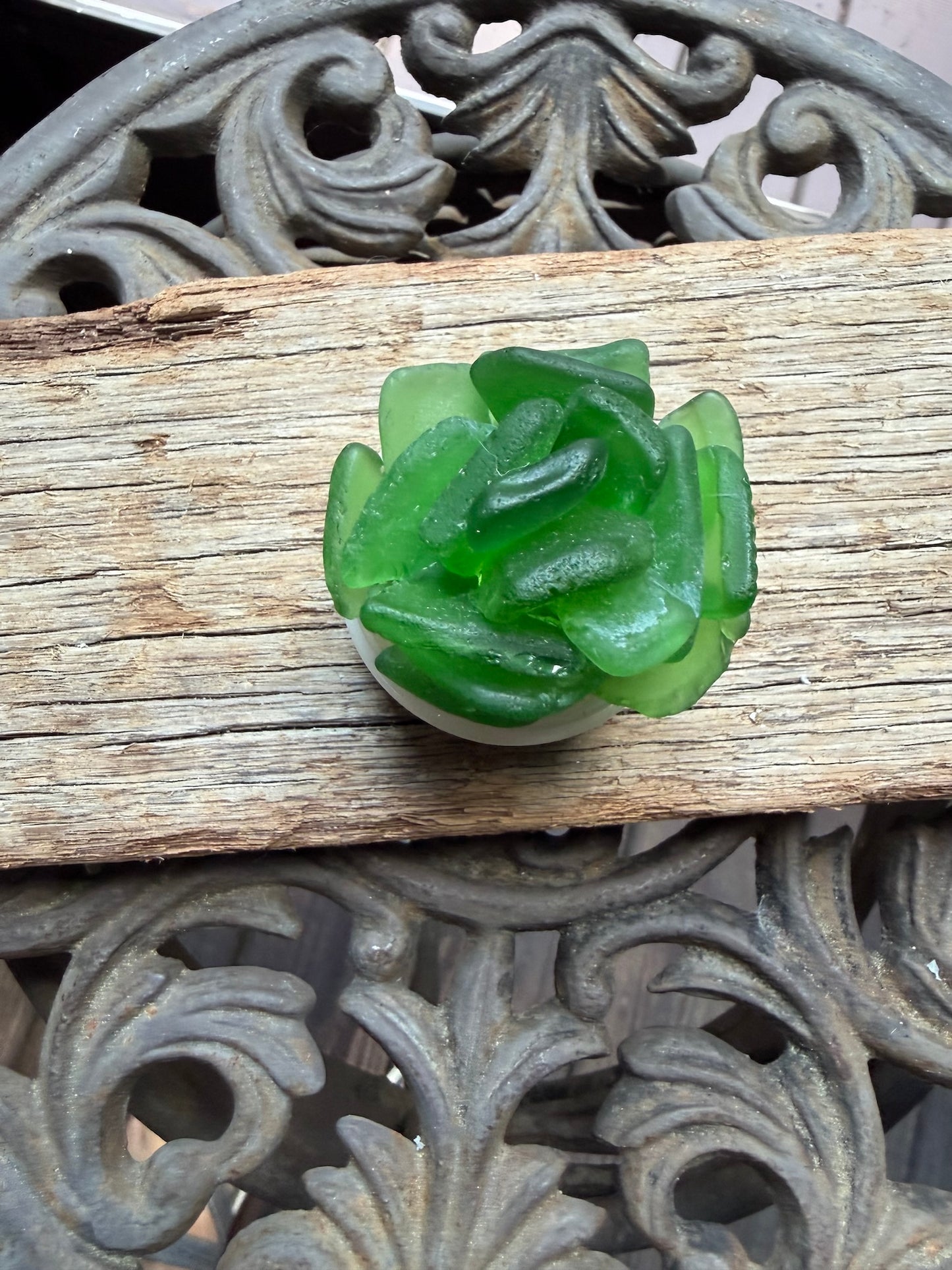 Sea Glass Succulent - Green (221)